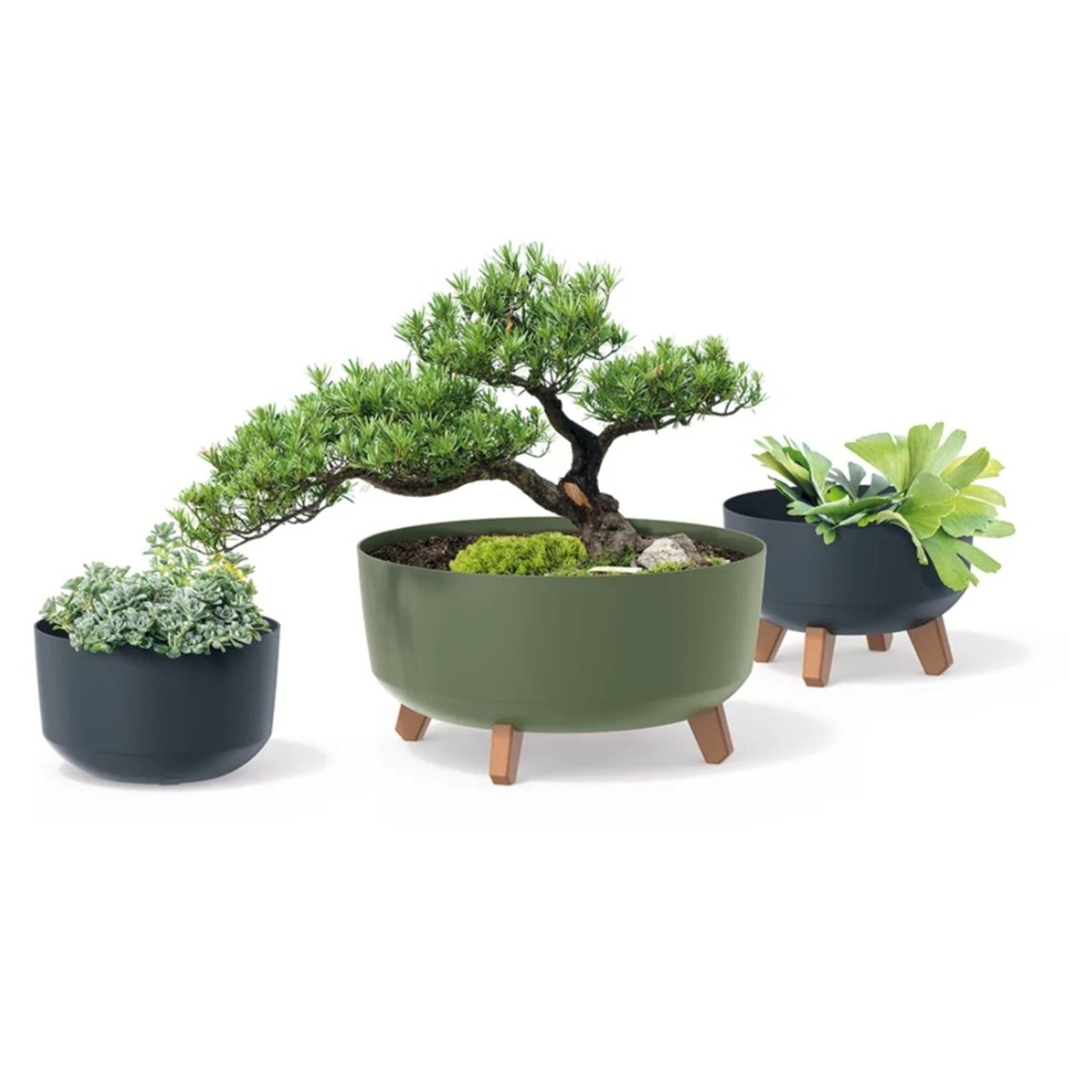 Prosperplast Blumentopf Gracia, inkl. Einsatz und günstig online kaufen