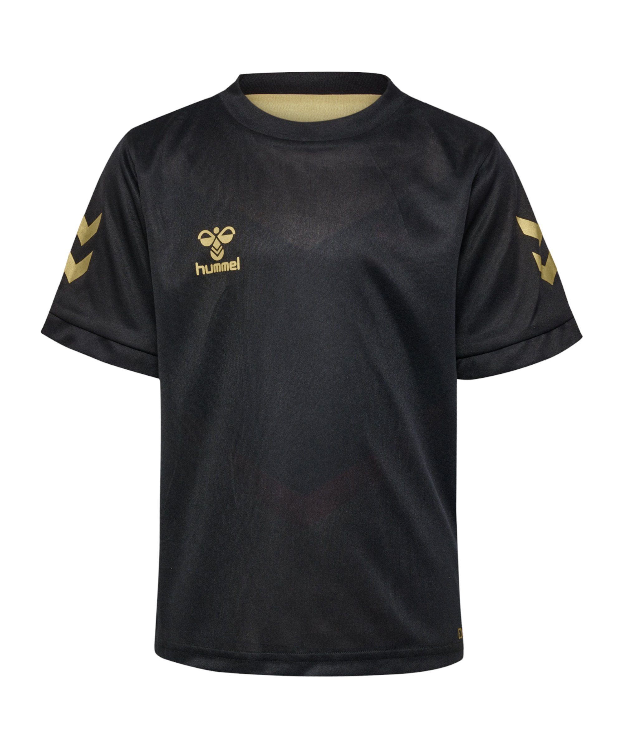 Fußballtrikot Hummel hmlE24C Reversible Poly Trikot Kids F2128