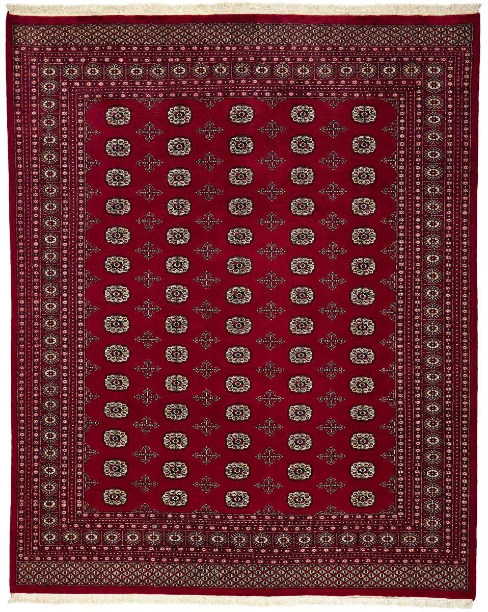 Orientteppich Pakistan Buchara 2ply 248x308 Handgeknüpfter Orientteppich, Nain Trading, rechteckig, Höhe: 8 mm