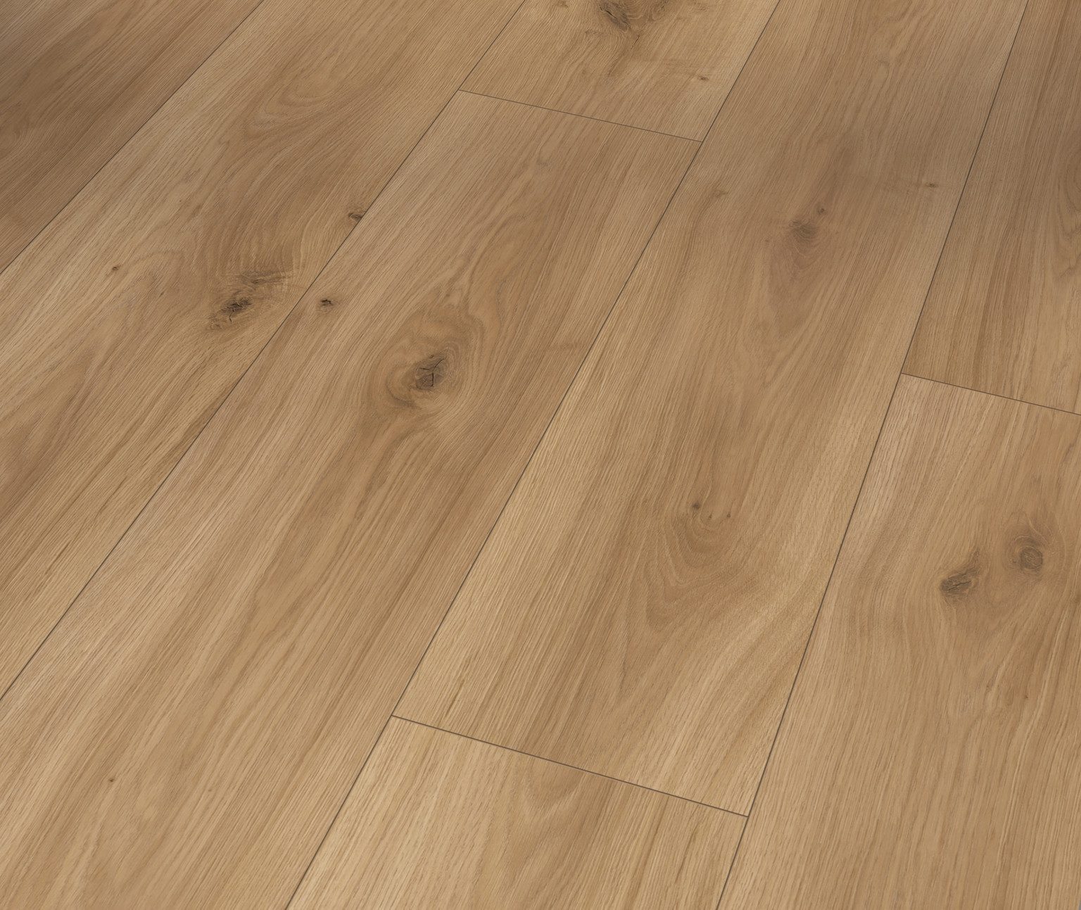 PARADOR Laminat PARADOR Laminat Basic, PARADOR Laminat Basic: Laminat-Serie