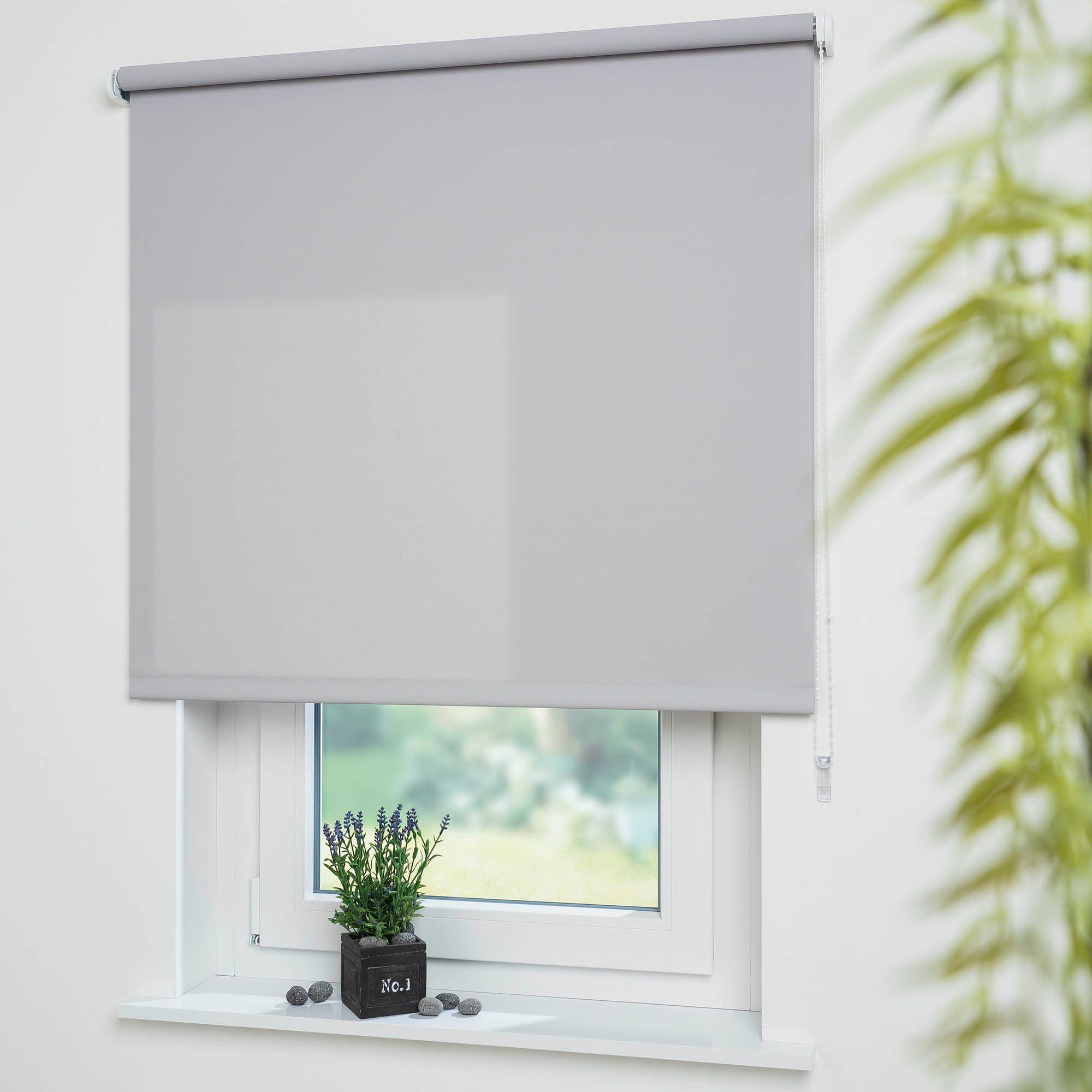 Liedeco Seitenzugrollo "Uni" Lichtschutz mit Bohren freihängend Montage ohn günstig online kaufen