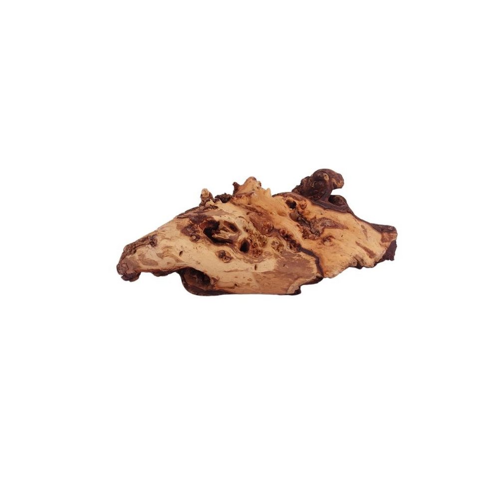 Thumbnail - Aquaone Aquarium XL Mopani Wurzel Nr.9394 Holz Deko Aquascaping