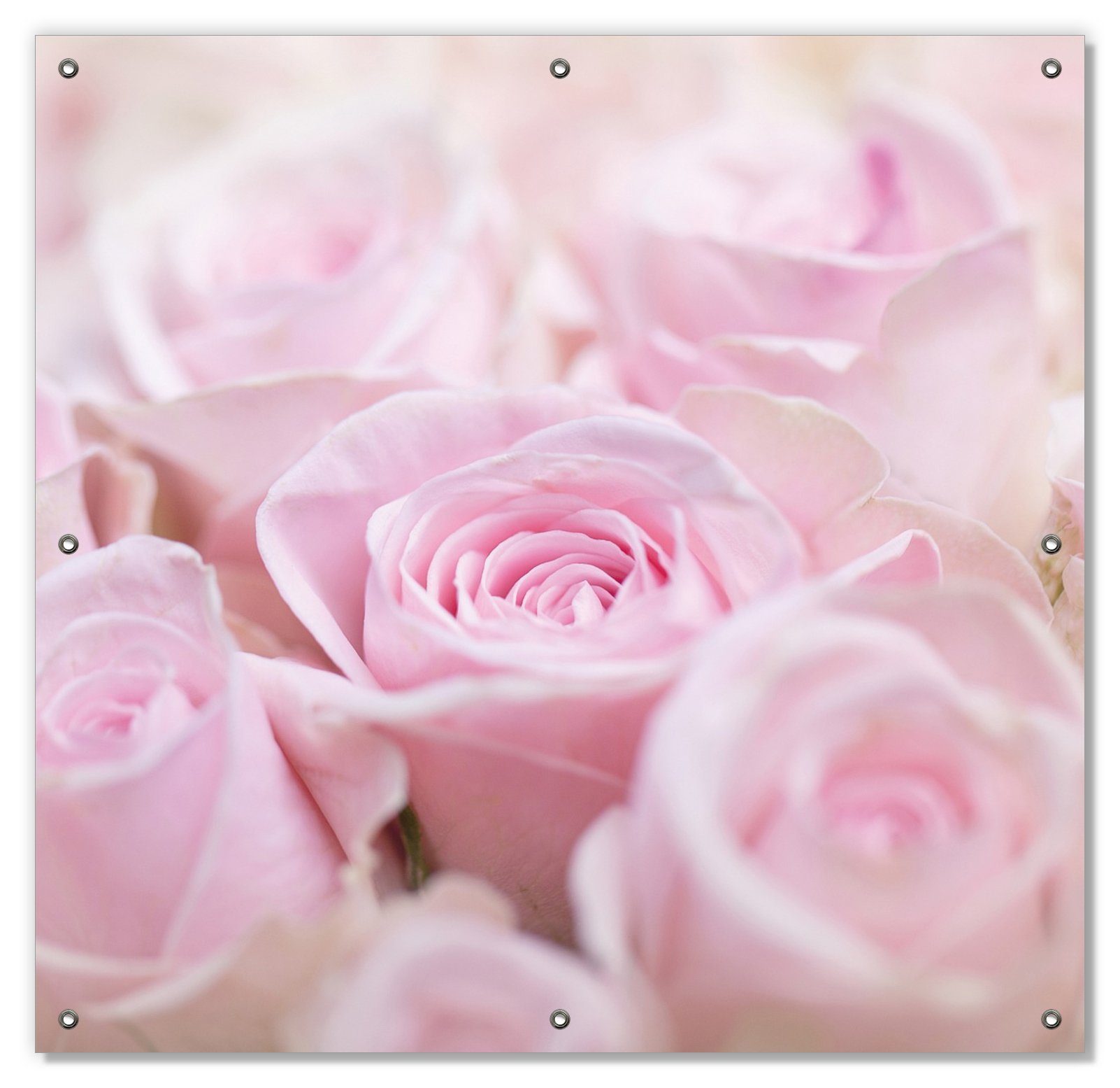 wiederverwendbar Rosenblüten Rosafarbene im Strauß, wiederablösbar Saugnäpfen, mit und blickdicht, Wallario, Sonnenschutz