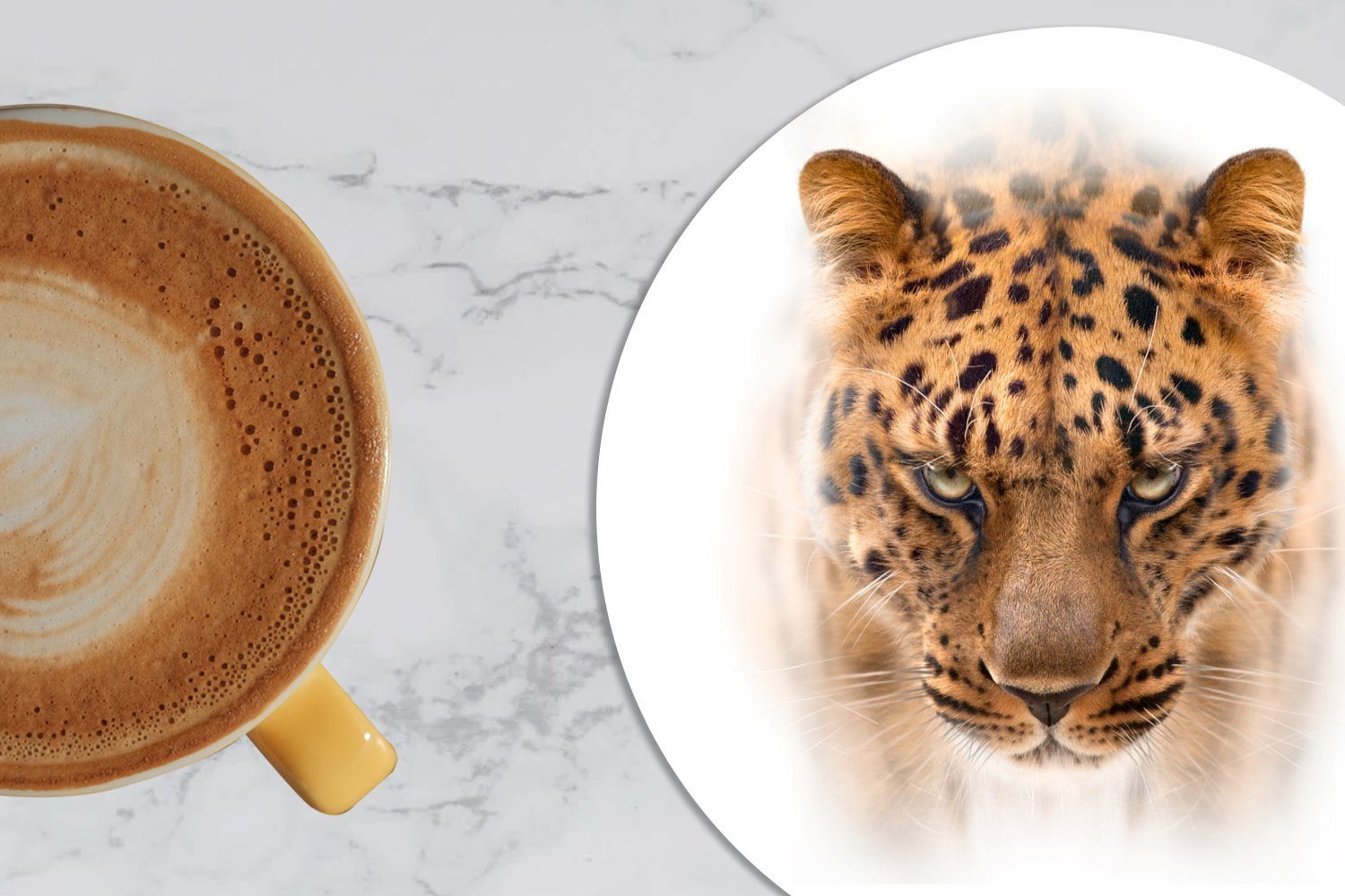 Zubehör Weiß, Glasuntersetzer MuchoWow Becher Tassenuntersetzer, Gläser, Getränkeuntersetzer, für 6-tlg., - Korkuntersetzer, Porträt Panther - Tasse,