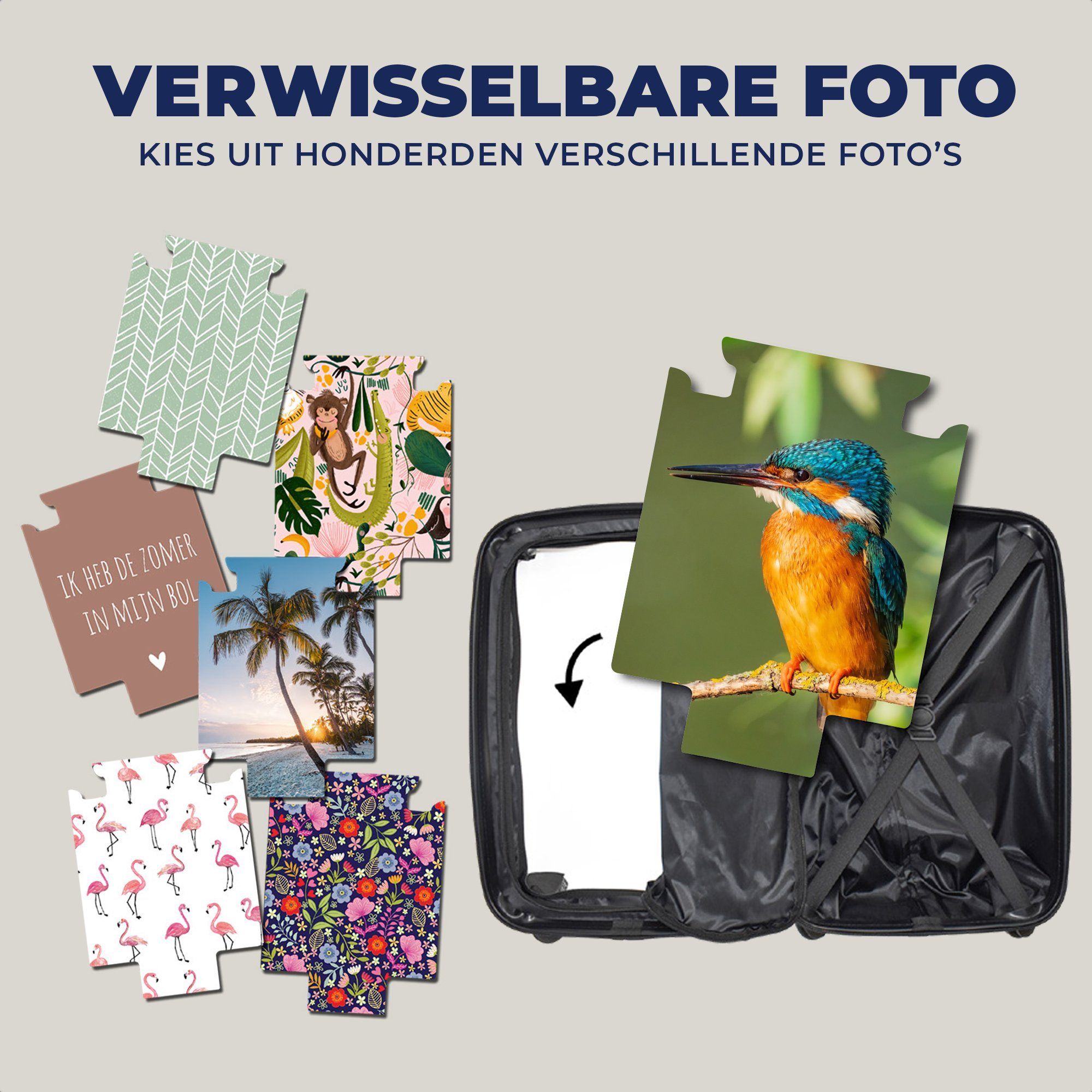 MuchoWow Handgepäckkoffer Vogel - Trolley, 4 Zweig für rollen, Reisetasche Rollen, - Reisekoffer Eisvogel - Ferien, Blätter - mit Handgepäck Moos