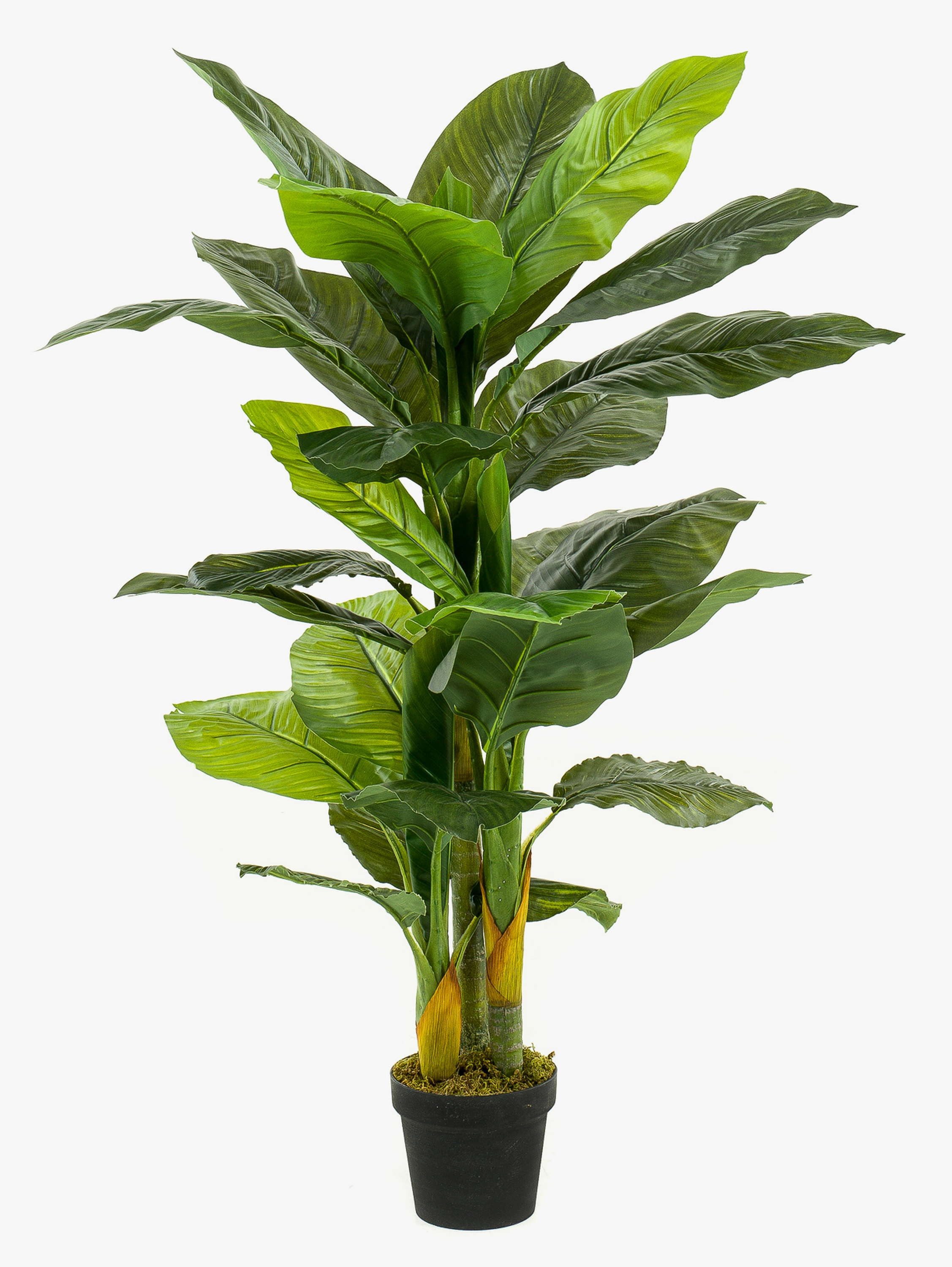 Künstliche Zimmerpflanze Spathiphyllum künstlich