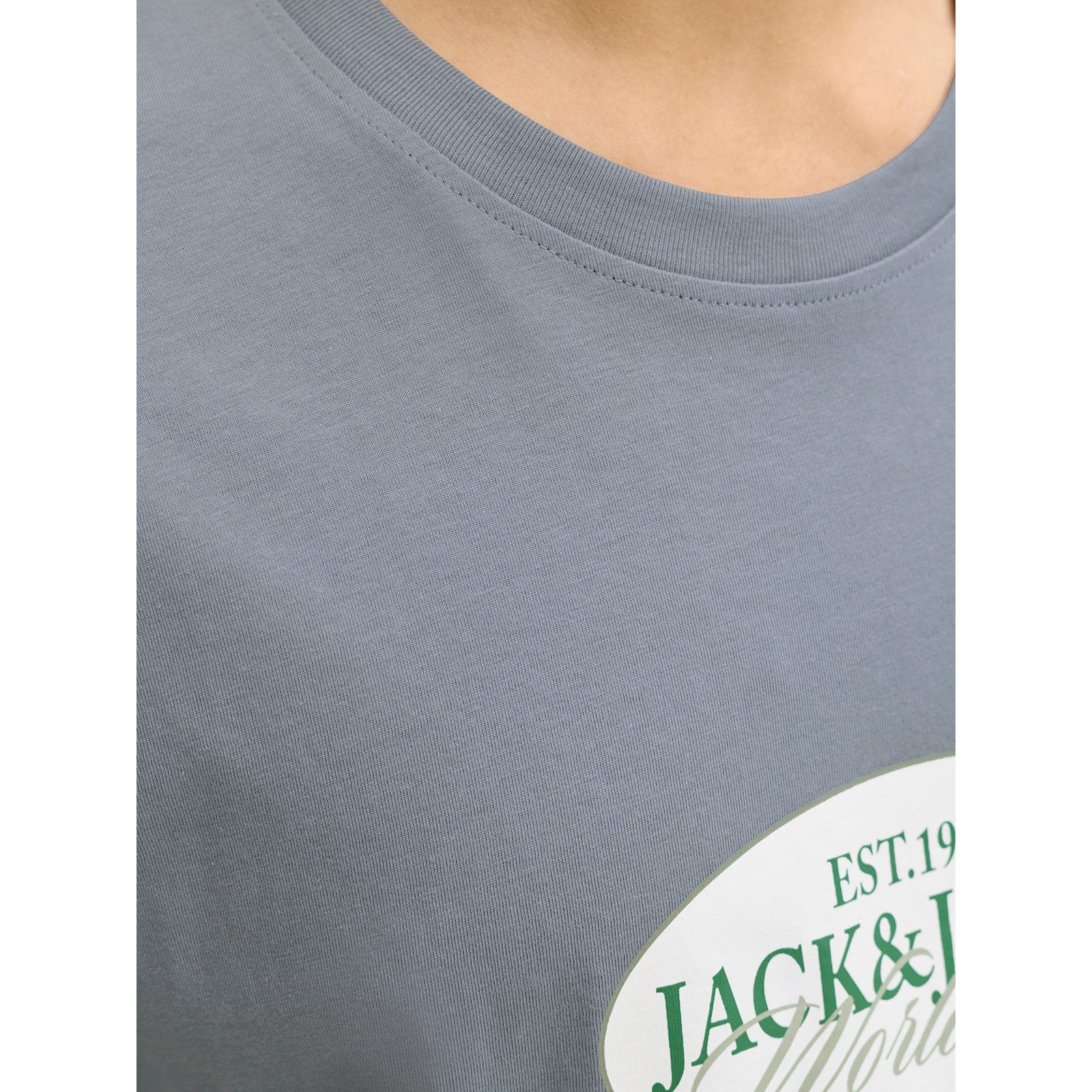 Jack & Jones Rundhalsshirt Jack&Jones Übergröße T-Shirt JORCATSKILLS grau Print