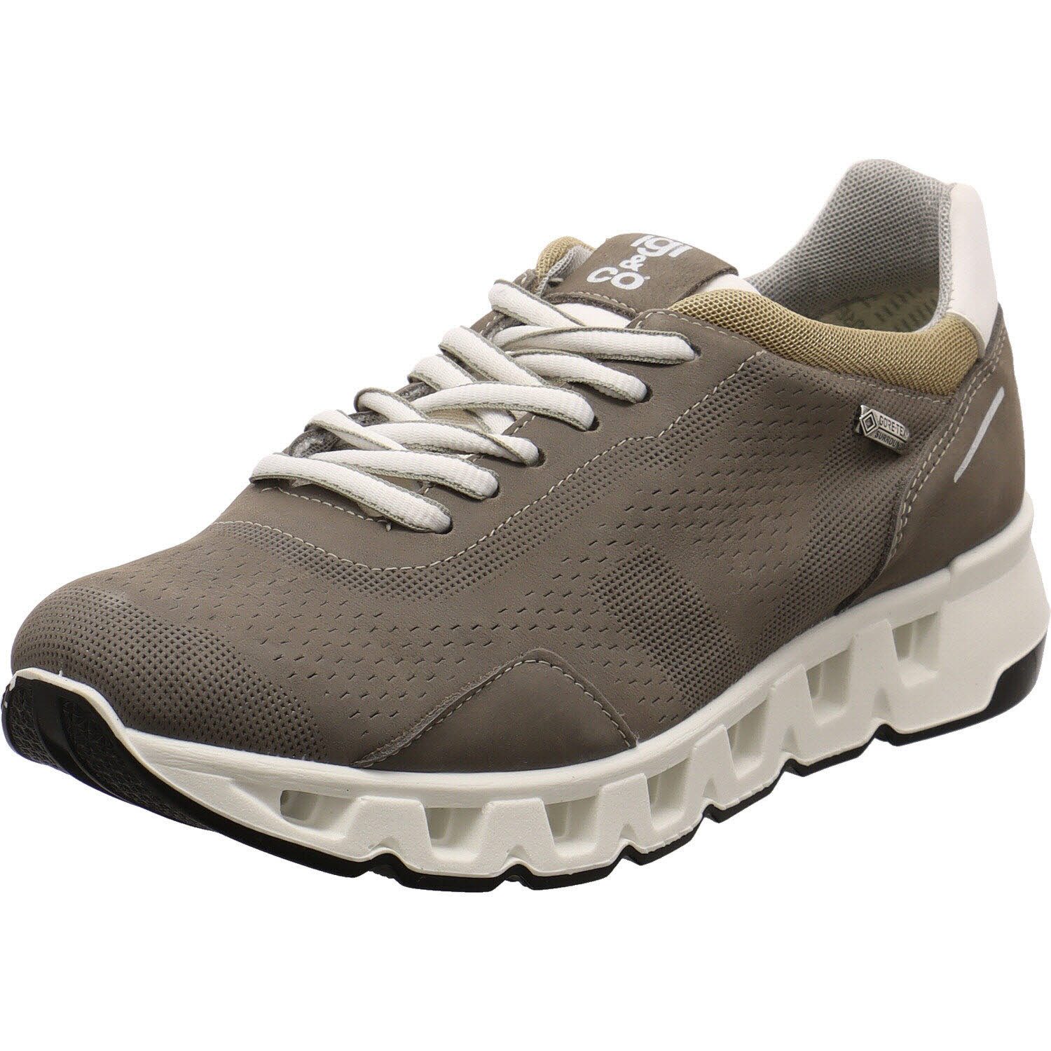 IGI & CO Gore-Tex Surround Sneaker günstig online kaufen