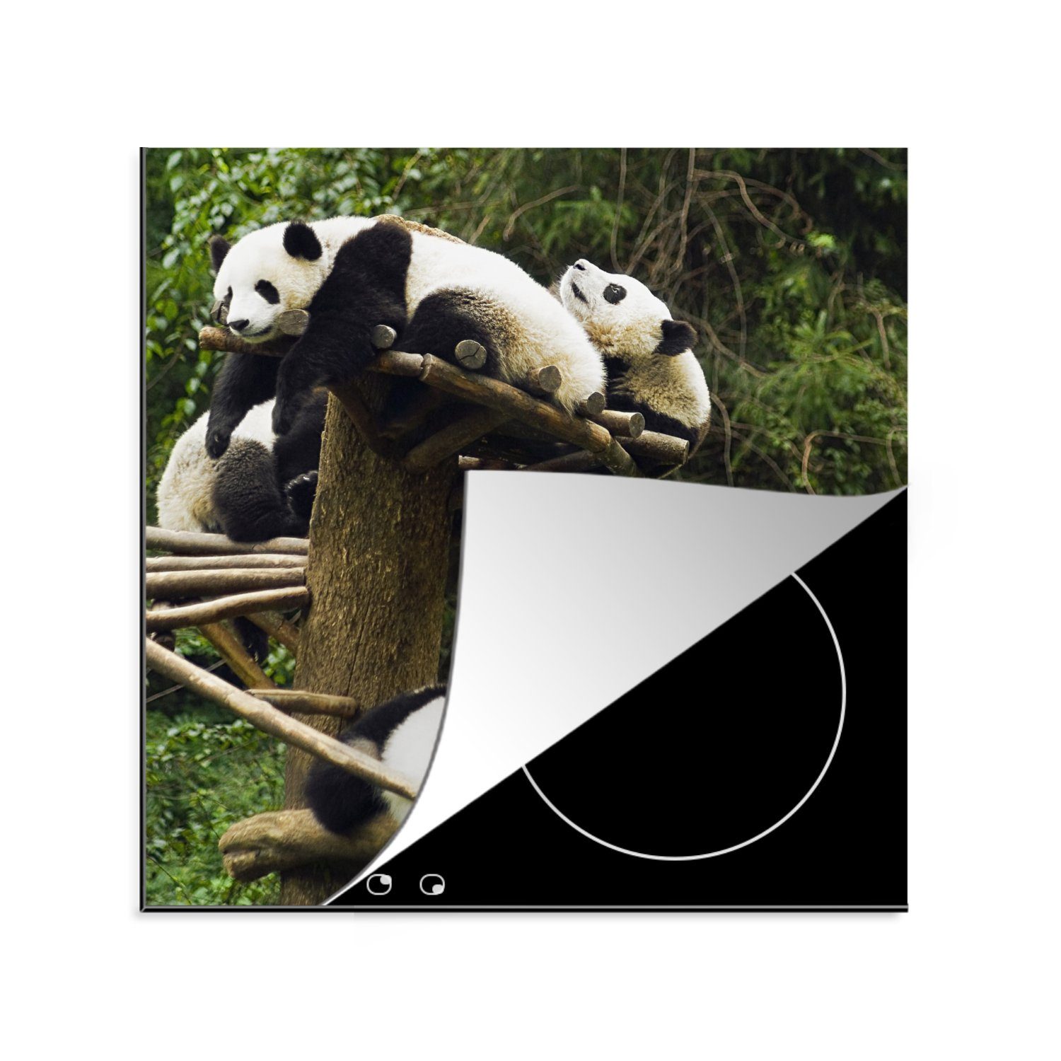 MuchoWow Herdblende-/Abdeckplatte Pandas - Holz - Treppe, Vinyl, (1 tlg), 78x78 cm, Ceranfeldabdeckung, Arbeitsplatte für küche