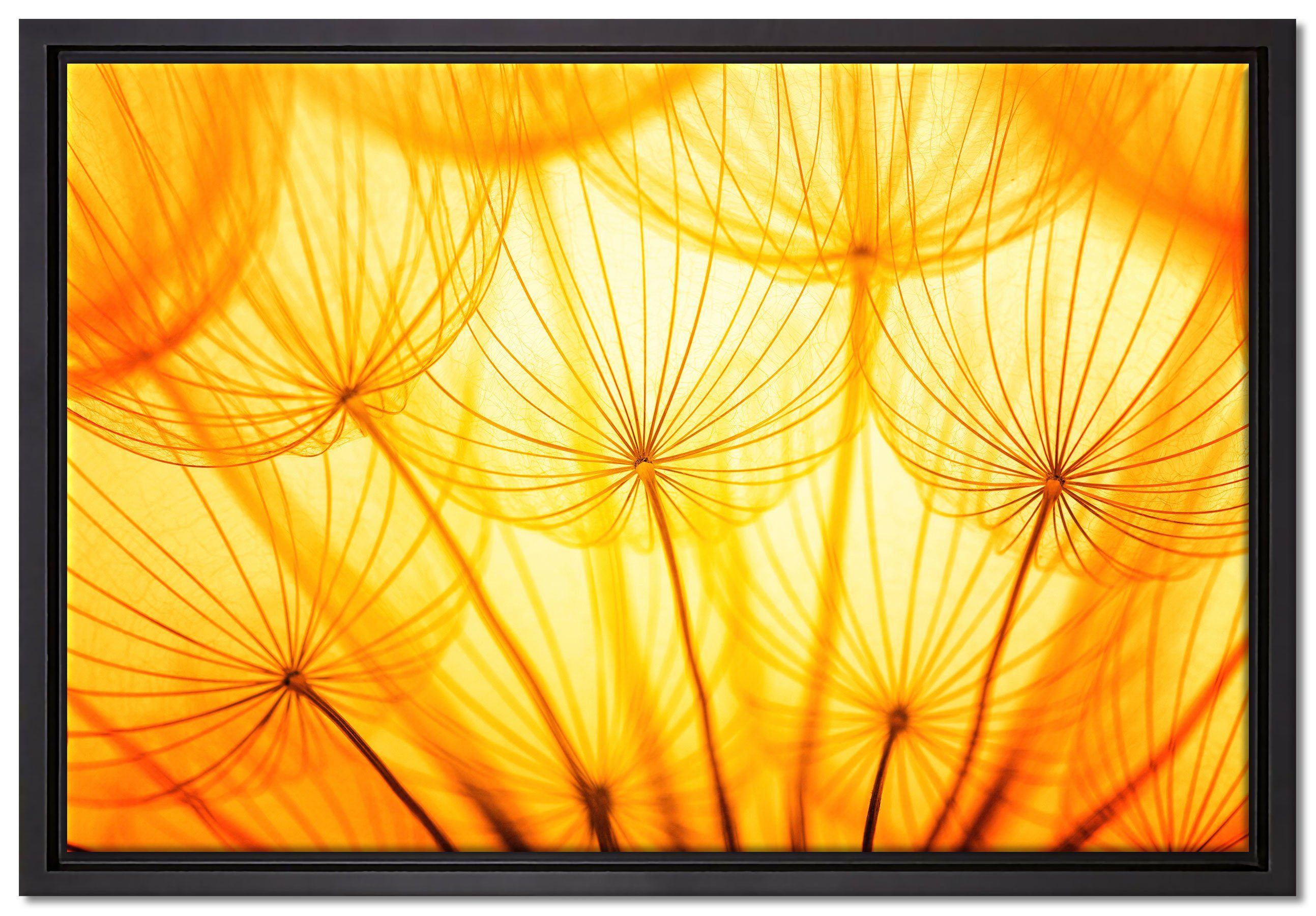 Pixxprint Leinwandbild Pusteblumen oranges Licht, Wanddekoration (1 St), Leinwandbild fertig bespannt, in einem Schattenfugen-Bilderrahmen gefasst, inkl. Zackenaufhänger