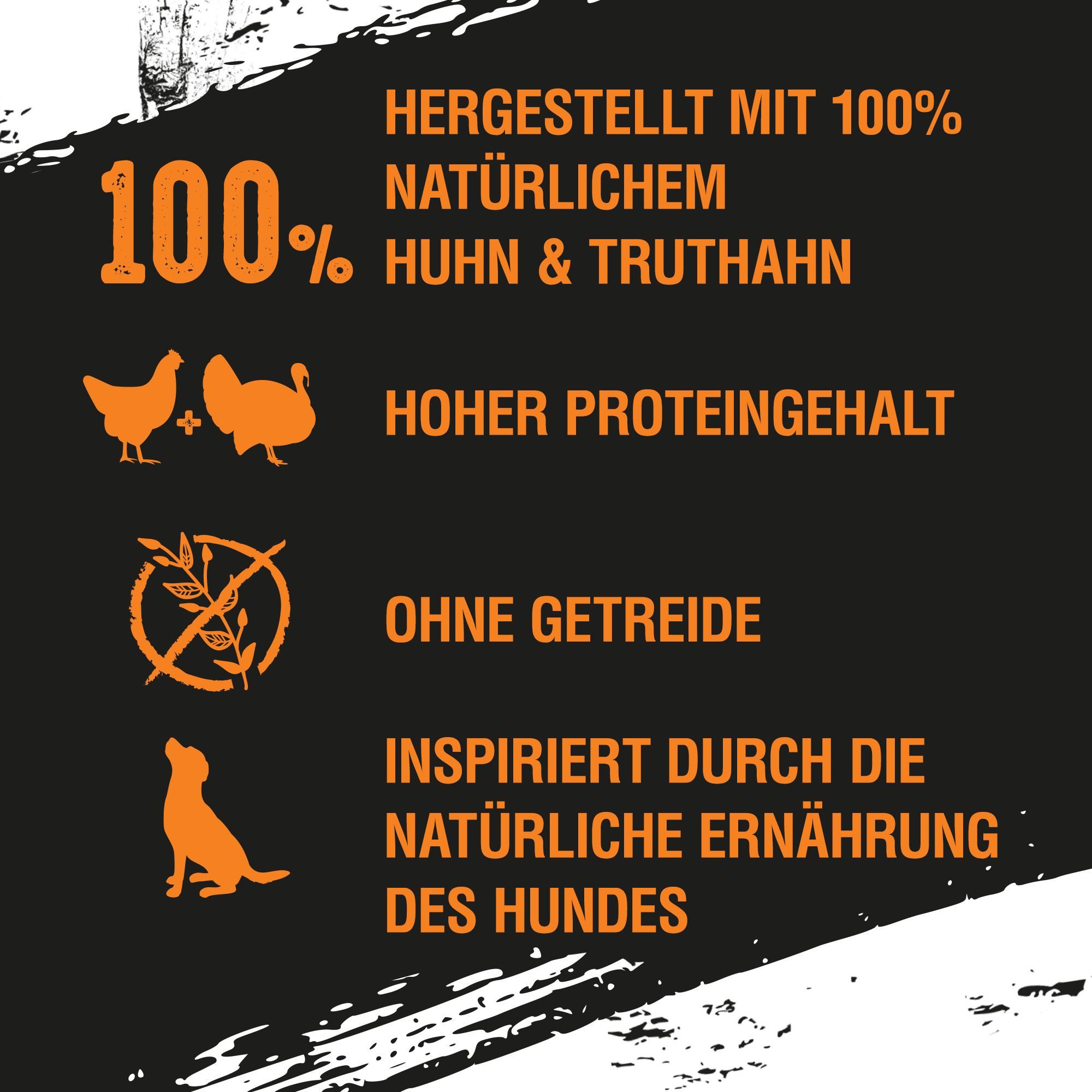CRAVE CRAVE™ Hund Dose mit Huhn und Truthahn 6 x 400g, Nassfutter für: Hunde