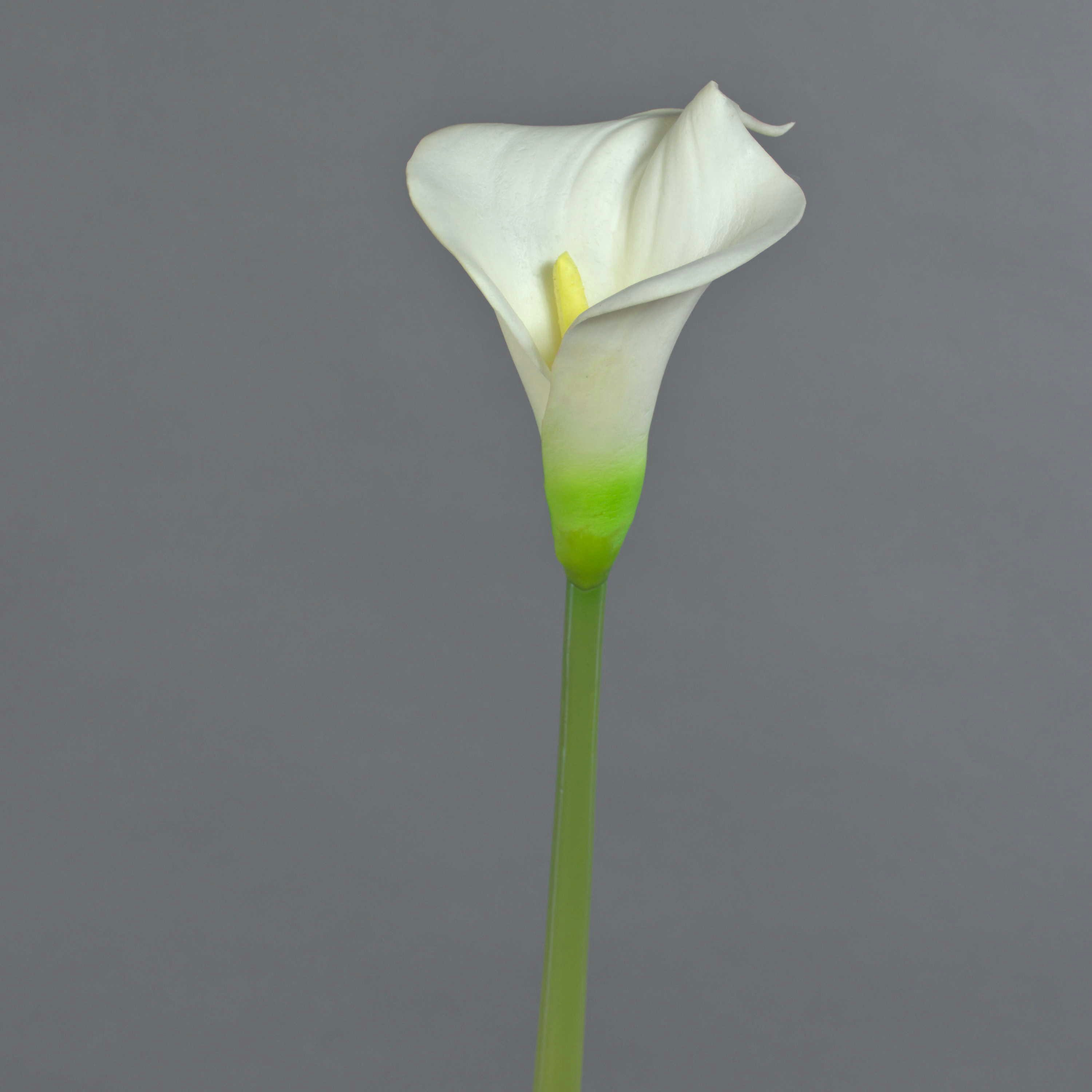 Kunstblume Deko Calla MIRAC, Creme, 75cm, 13x15cm Calla, artplants, Höhe 75.0 cm
