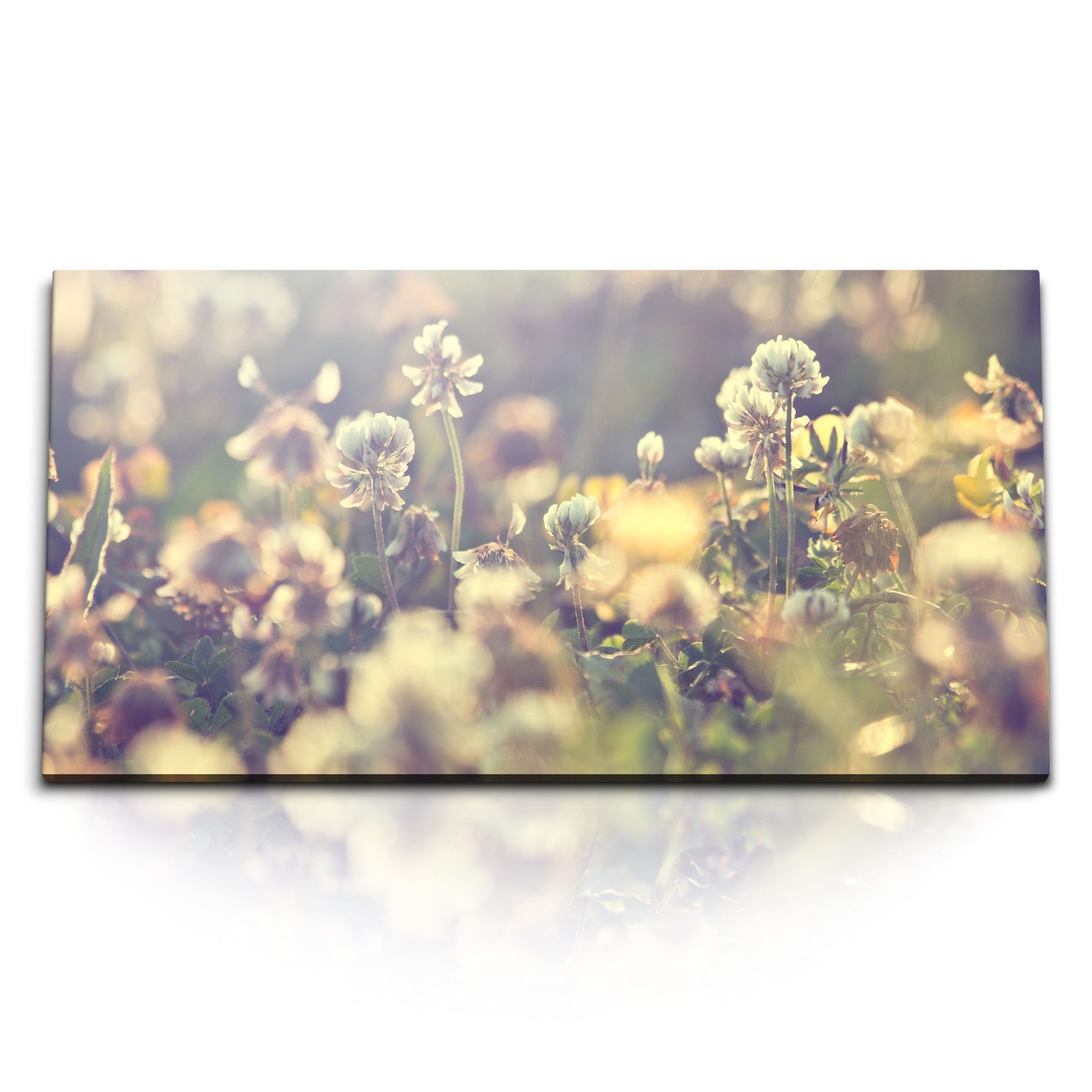 Leinwandbild Kunstdruck Bilder 120x60cm Sonnenschein Blumenwiese Natur Wildblumen F