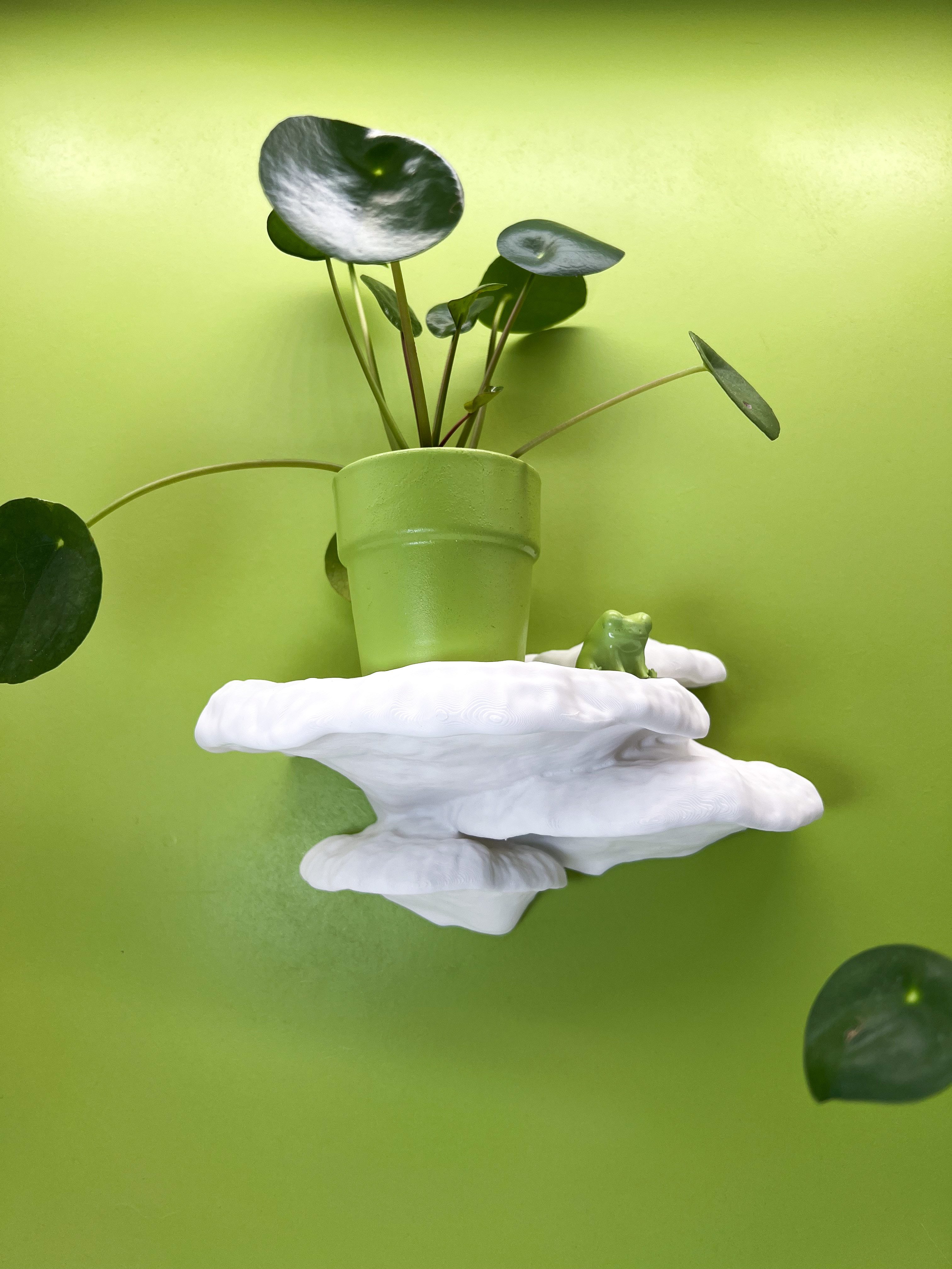 Roomberry Deko-Wandregal Baumschwamm Pilz Wandregal, schwebendes Wandregal, M/L/XL, Made in Germany