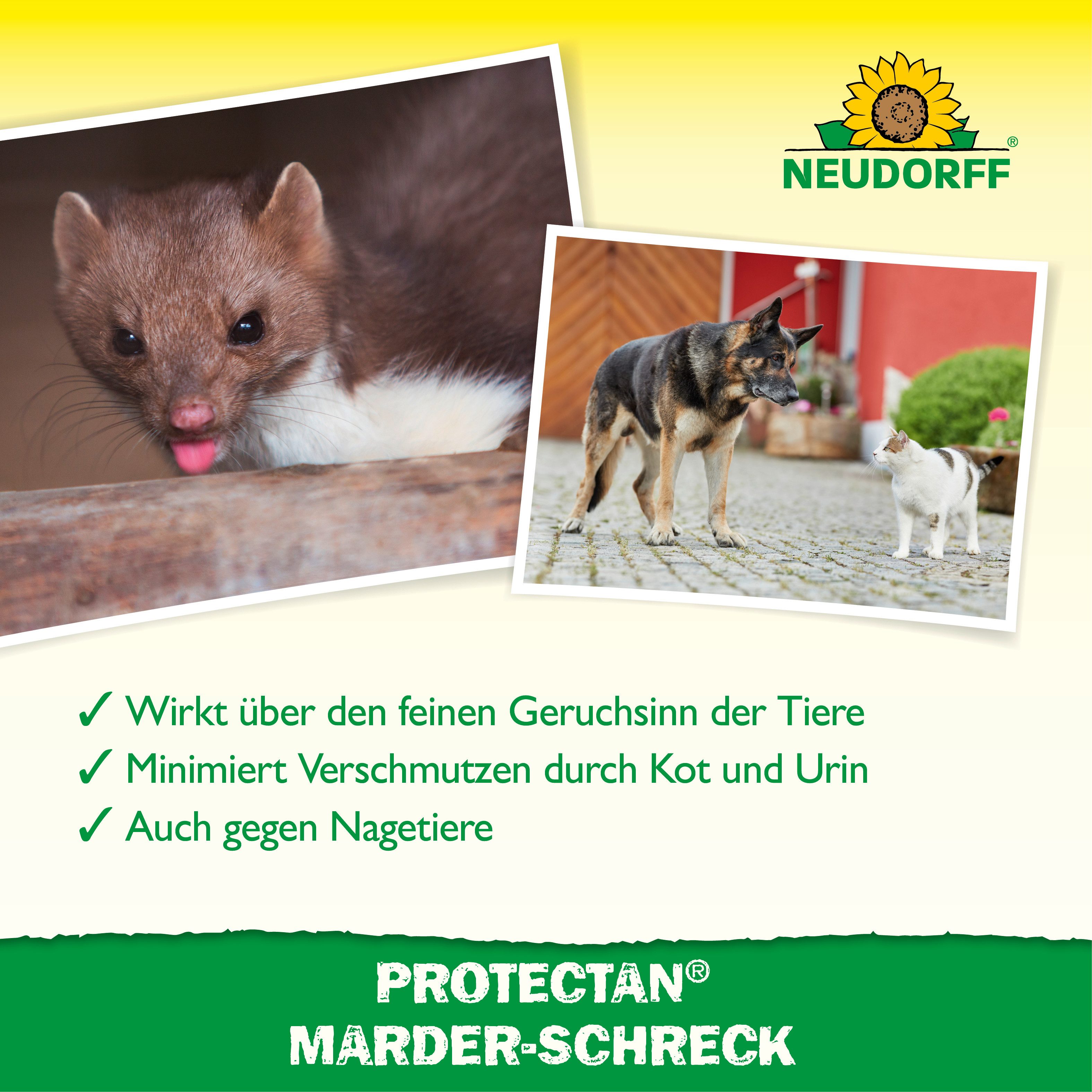 Neudorff Tierfallen-Köder Neudorff Protectan Marder-Schreck 200 g, 200 g, 1 Stück, Geruchsbasiertes Fernhaltegranulat für Marder, 200 g für ca. 13 laufende Mete – Bild 4 von 5
