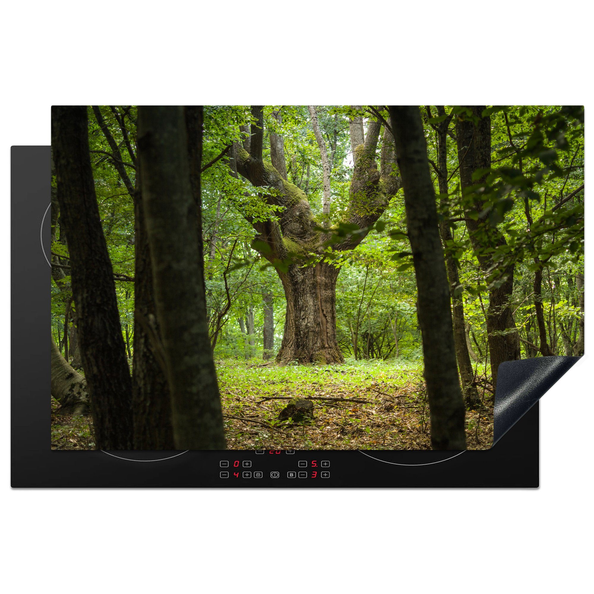 MuchoWow Herdblende-/Abdeckplatte Eine große Eiche tief in einem grünen Wald, Vinyl, (1 tlg), 81x52 cm, Induktionskochfeld Schutz für die küche, Ceranfeldabdeckung