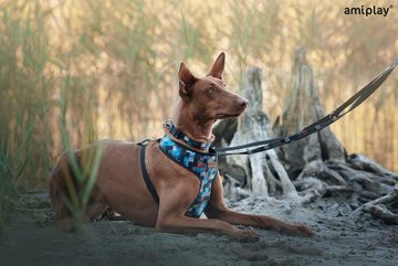 amiplay Hundeleine Adventure, Gewebe auf Polypropylen-Gurtband (Verstellbare Hundeleine), Verstellbare Hundeleine 6 in 1 ADVENTURE