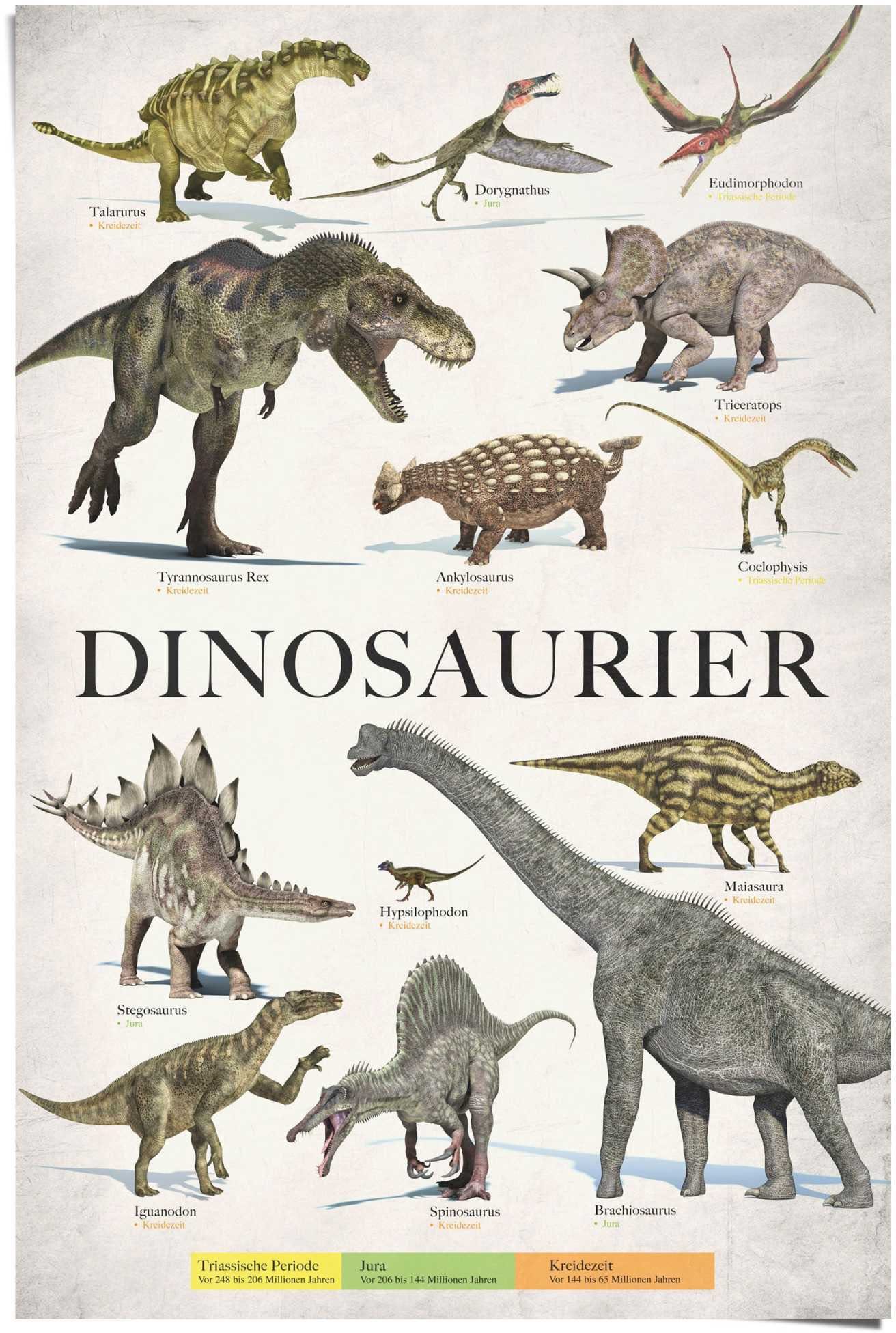 Reinders! Poster Dinosaurier, (1 St) günstig online kaufen