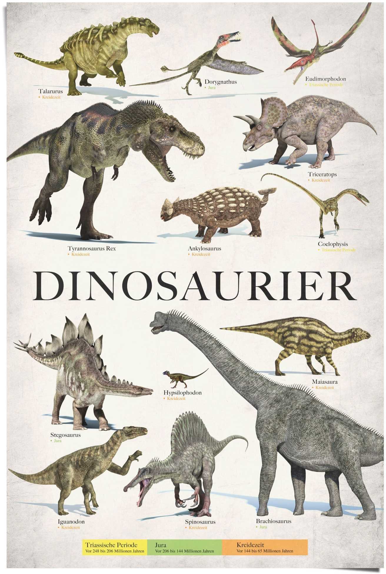 (1 Reinders! St) Poster Dinosaurier,