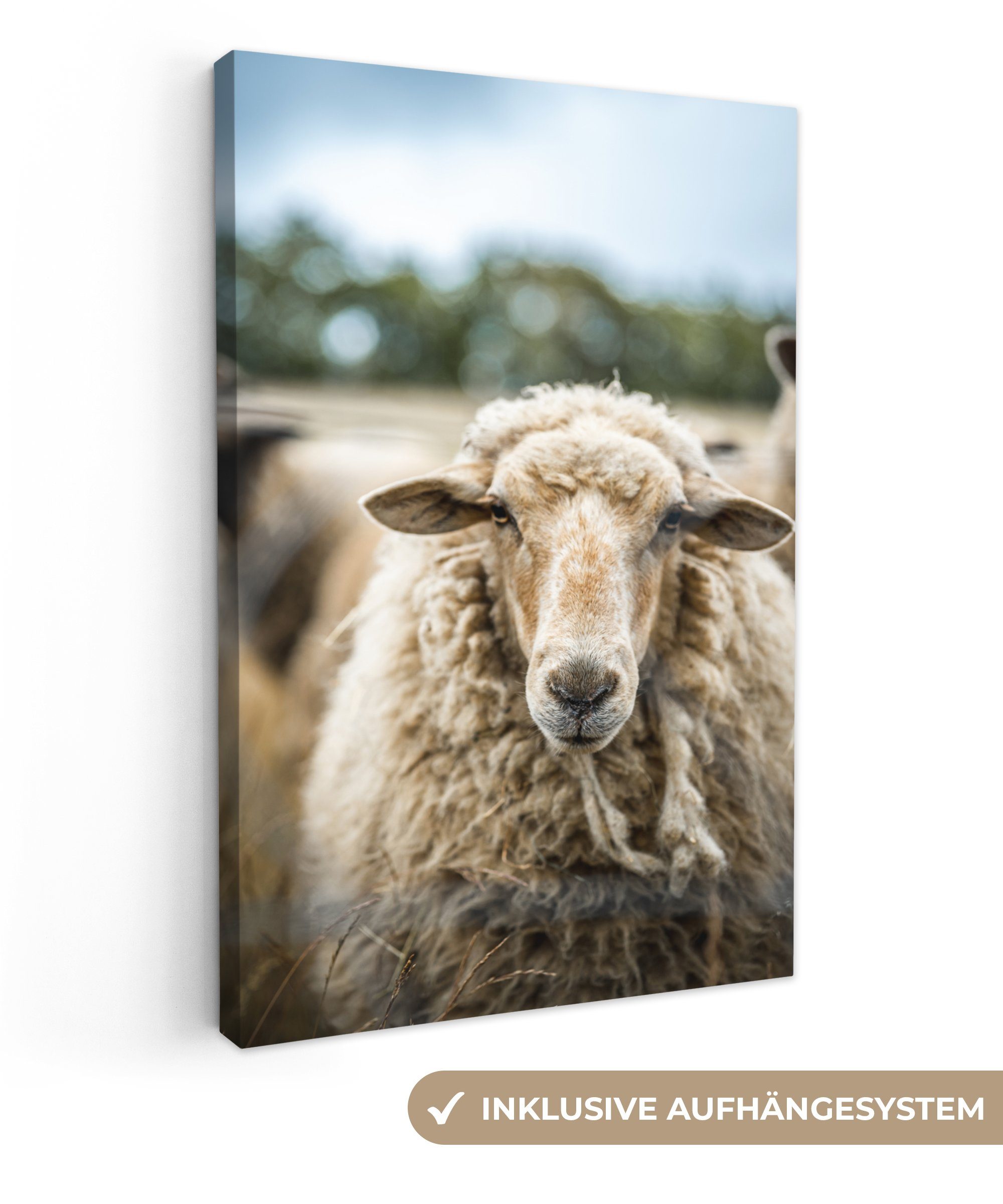 OneMillionCanvasses® Leinwandbild Porträt eines Schafes, (1 St), Leinwandbild fertig bespannt inkl. Zackenaufhänger, Gemälde, 20x30 cm bunt
