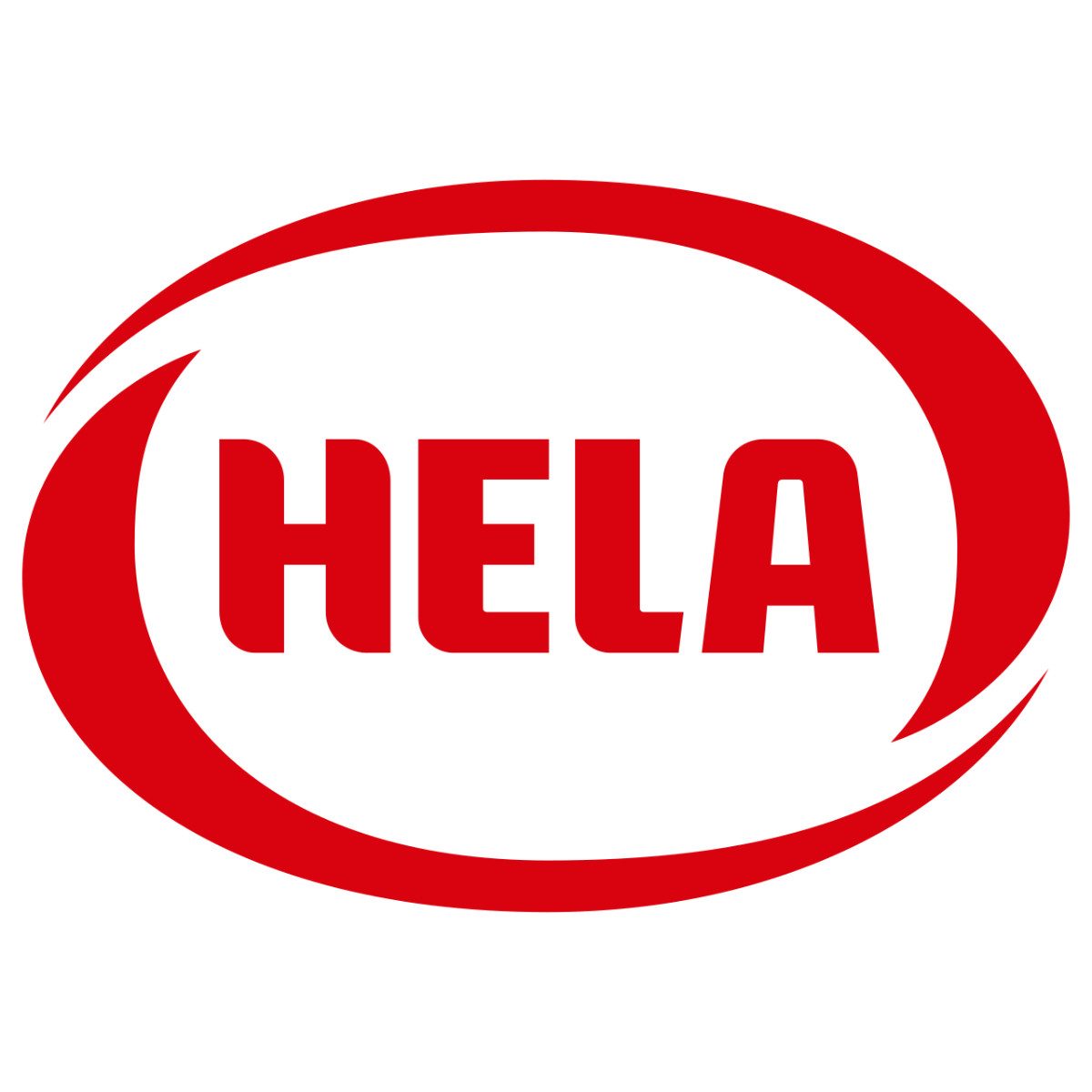 HELA Saucen, Hela Gewürz Ketchup Knoblauch pikant würziger Geschmack Flasche 300ml