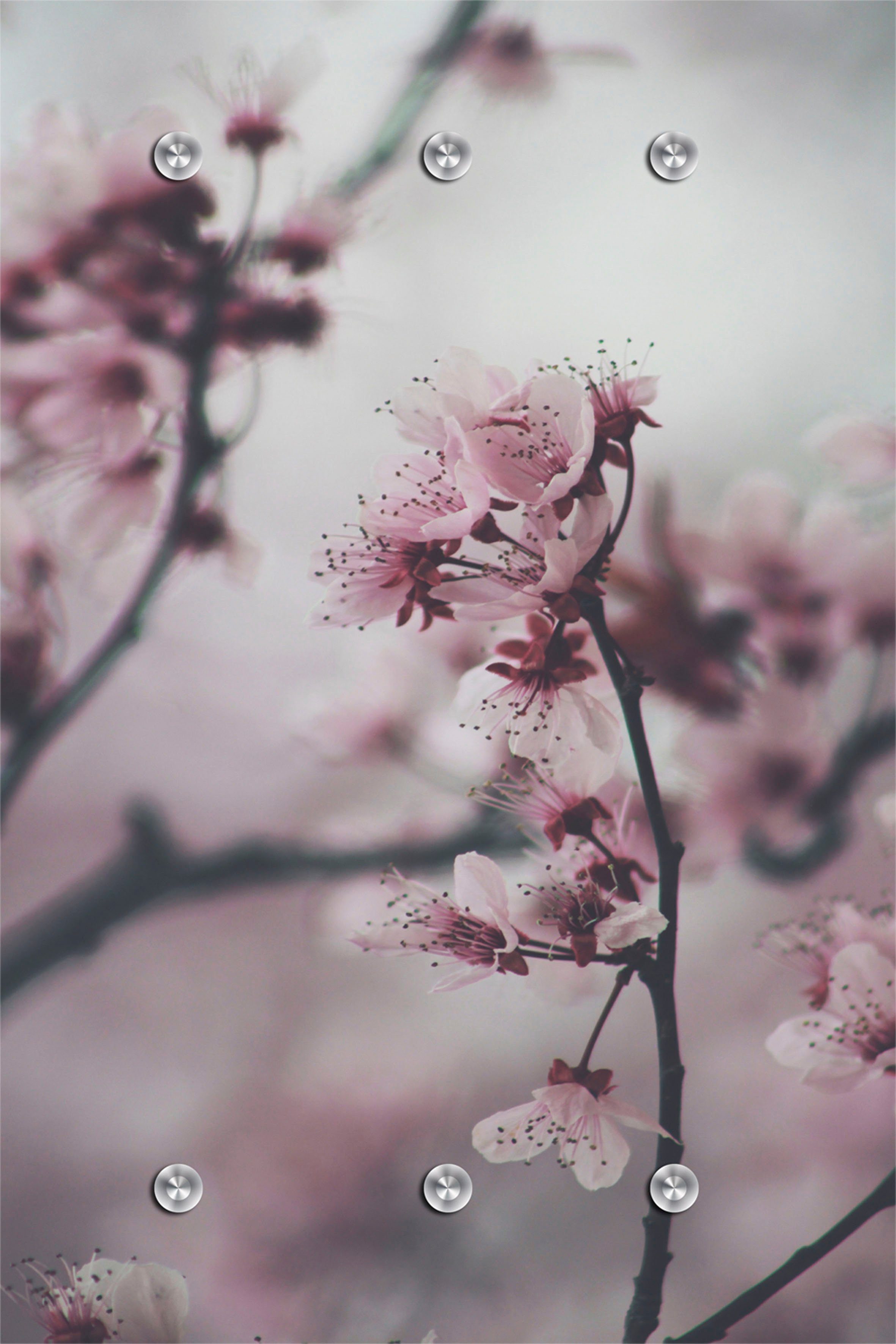 queence Garderobenleiste Blumen, mit 6 Haken, 80 x 120 cm