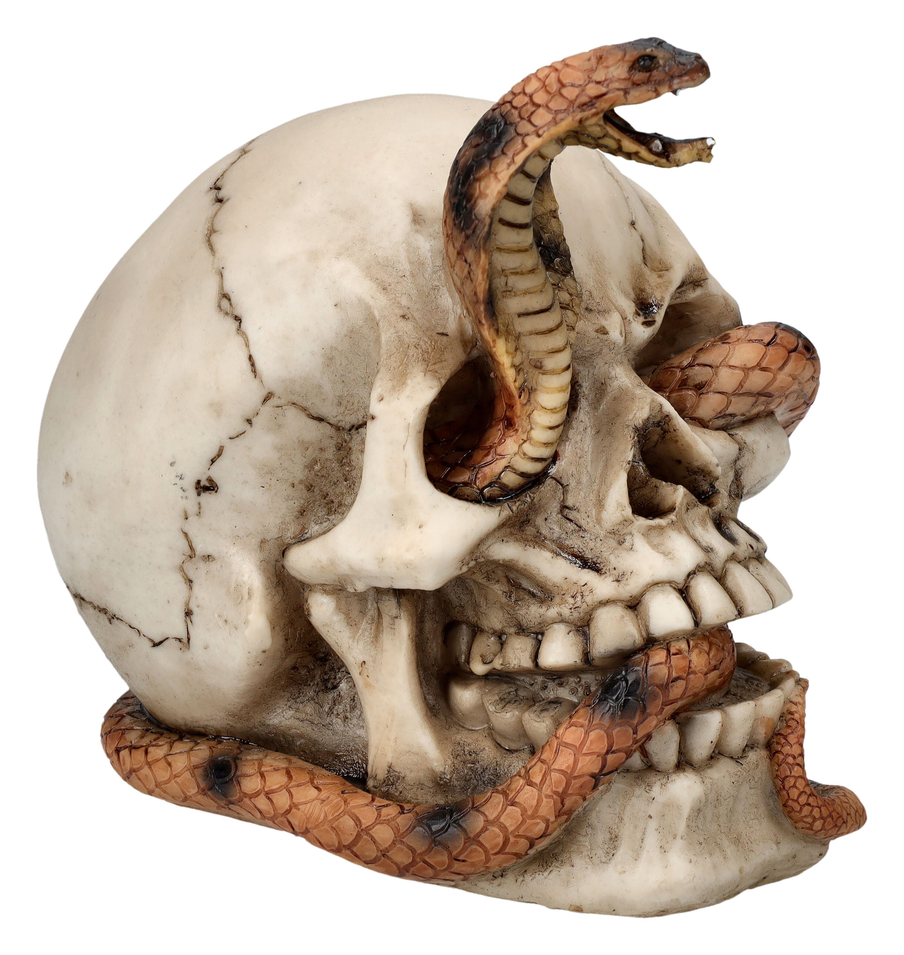 Figuren Shop GmbH Fantasy-Figur Totenkopf Figur - Kobra Schädel - Gothic De günstig online kaufen