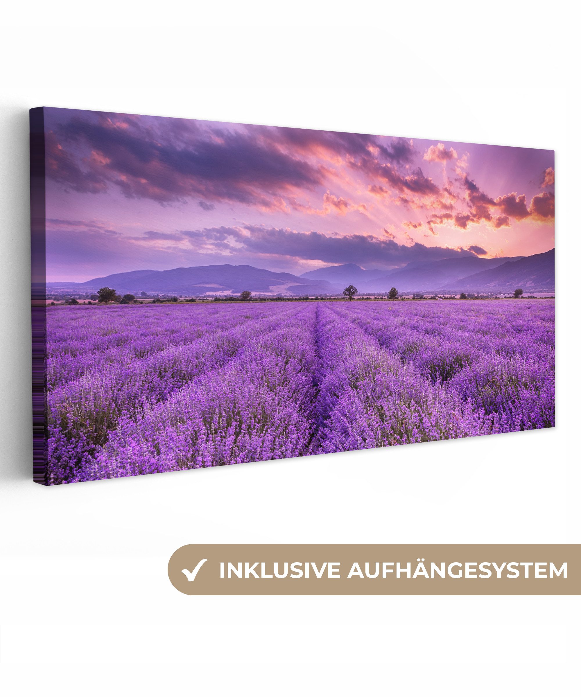 OneMillionCanvasses® Leinwandbild Panorama Lavendel - Lila - Blumen - Feld, günstig online kaufen