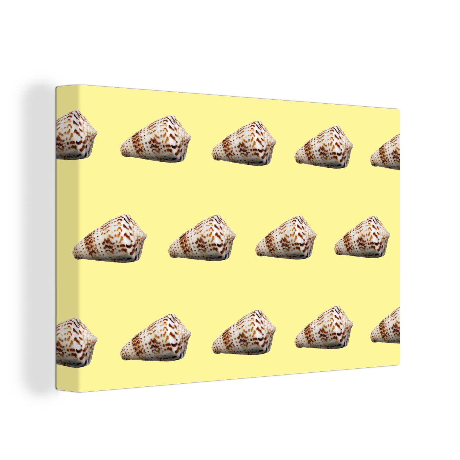 OneMillionCanvasses® Leinwandbild Muscheln - Muster - Gelb, (1 St), Wandbild Leinwandbilder, Aufhängefertig, Wanddeko, 30x20 cm