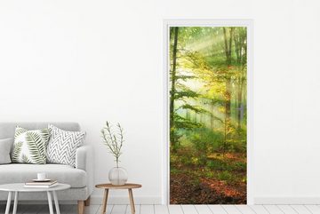 MuchoWow Türtapete Sonne - Wald - Bäume - Natur - Herbst, Matt, bedruckt, (1 St), Fototapete für Tür, Türaufkleber, 75x205 cm