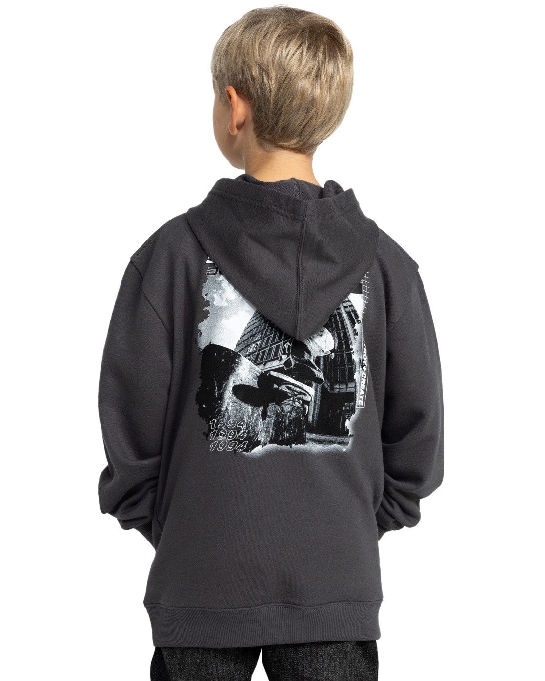 DC Shoes Hoodie Whereabouts günstig online kaufen