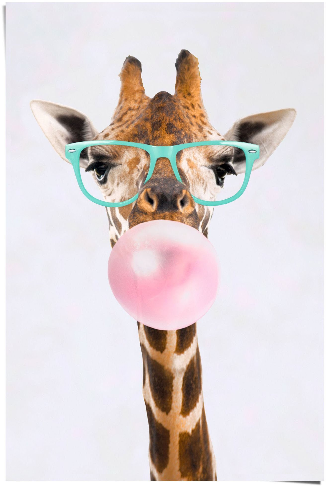 Reinders! Poster Poster Funky Giraffe, Giraffen günstig online kaufen