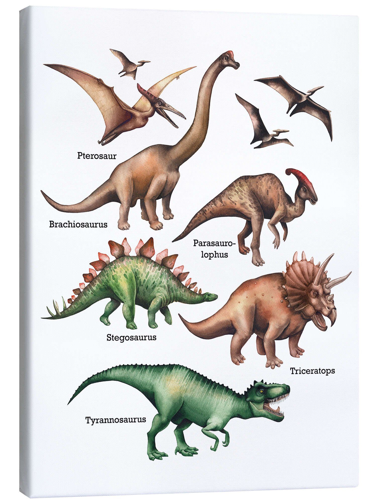 Posterlounge Wandbild Die Namen der Dinosaurier, Editors Choice, erhältlich als Poster, Leinwandbild, Wandsticker oder Acrylglasbild