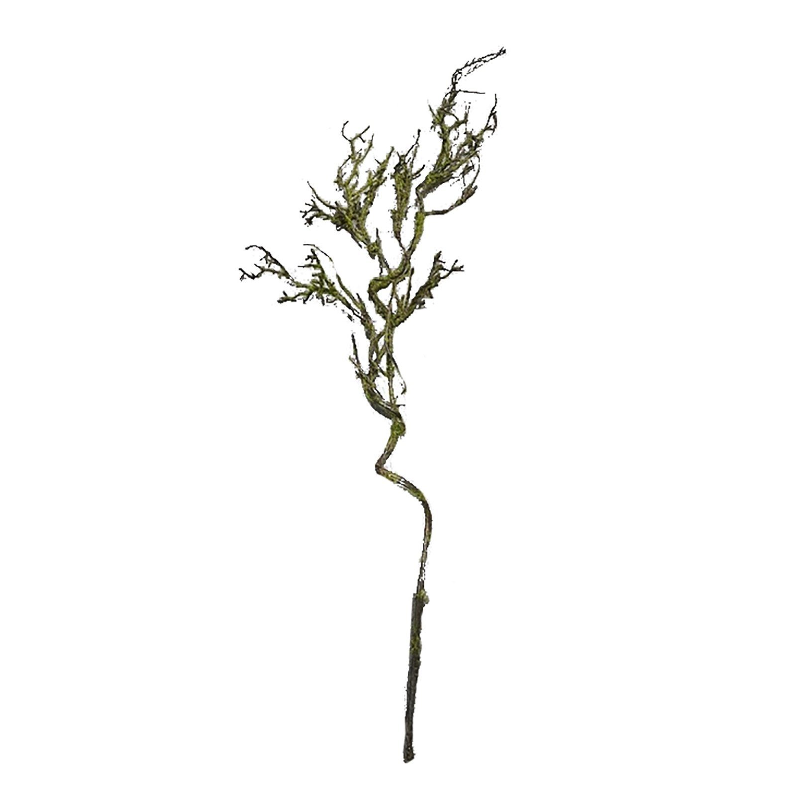 Kunstblume Moos Zweig Hellgrün 106 cm günstig online kaufen