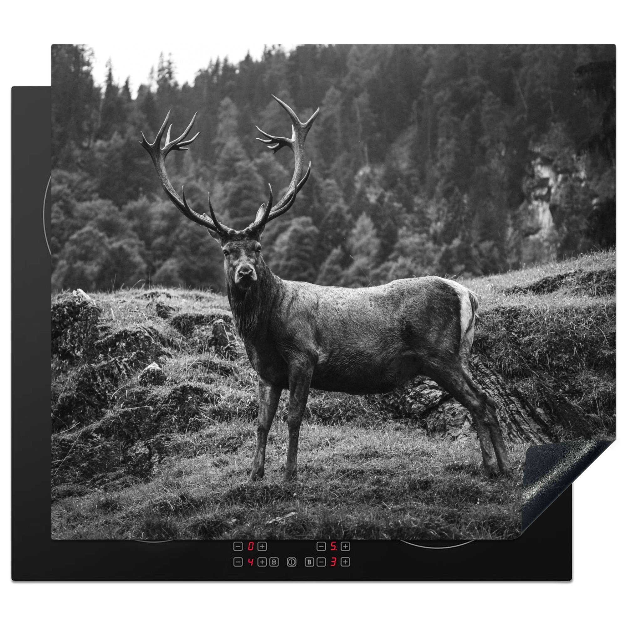MuchoWow Herdblende-/Abdeckplatte Hirsche in einer hügeligen Landschaft - schwarz-weiß, Vinyl, (1 tlg), 60x52 cm, Mobile Arbeitsfläche nutzbar, Ceranfeldabdeckung