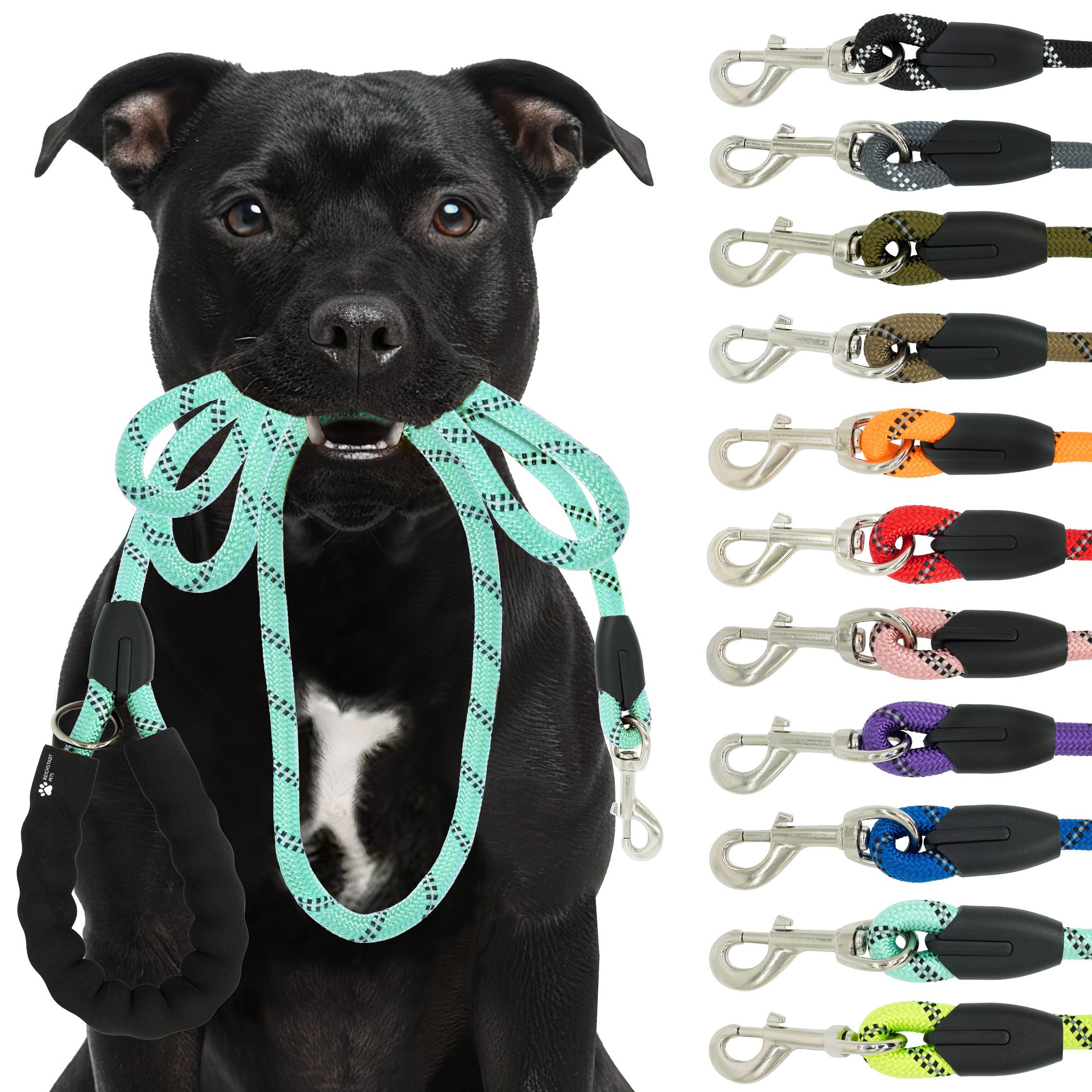 Reichstadt Hundeleine RS Pets Führleine Nylon 25RSP084, Nylon, Ergonomischer EVA-gepolsterter Griff für Blasenschutz von Reichstadt