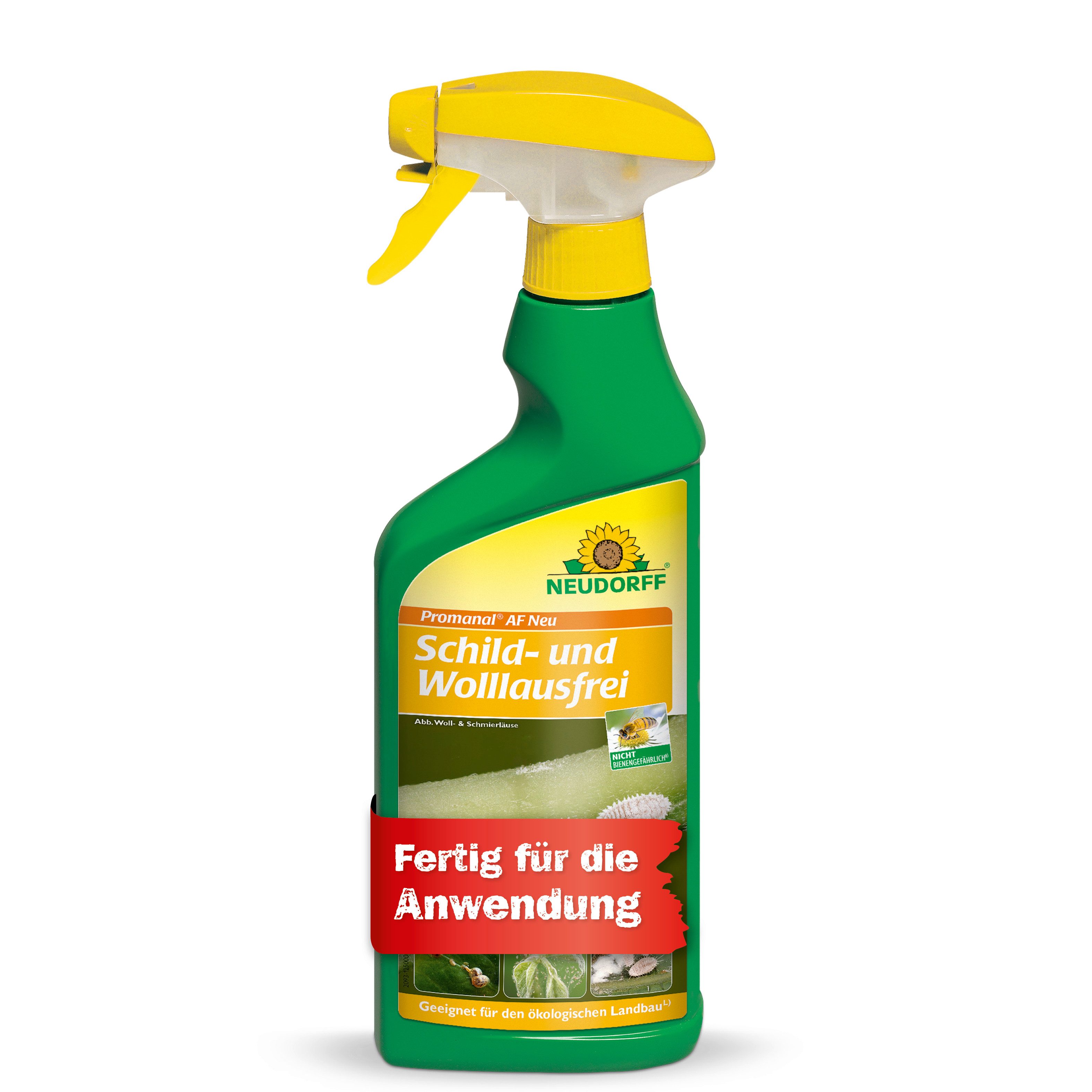 Neudorff Insektenspray Promanal AF Neu Schild- und Wolllausfrei 500 ml, 500 ml, Einzelprodukt, einsetzbar an z.B. Oleander und Oliver, Anwendungsfertiges Spray mit Paraffinöl gegen Pflanzenschädlinge