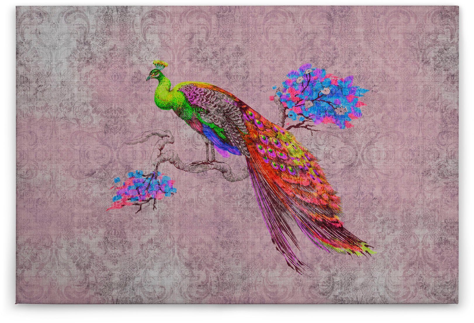 Bild rosa, rot, (1 peacock, Pfau blau Leinwandbild Keilrahmen Tiere A.S. Bunt St), Création