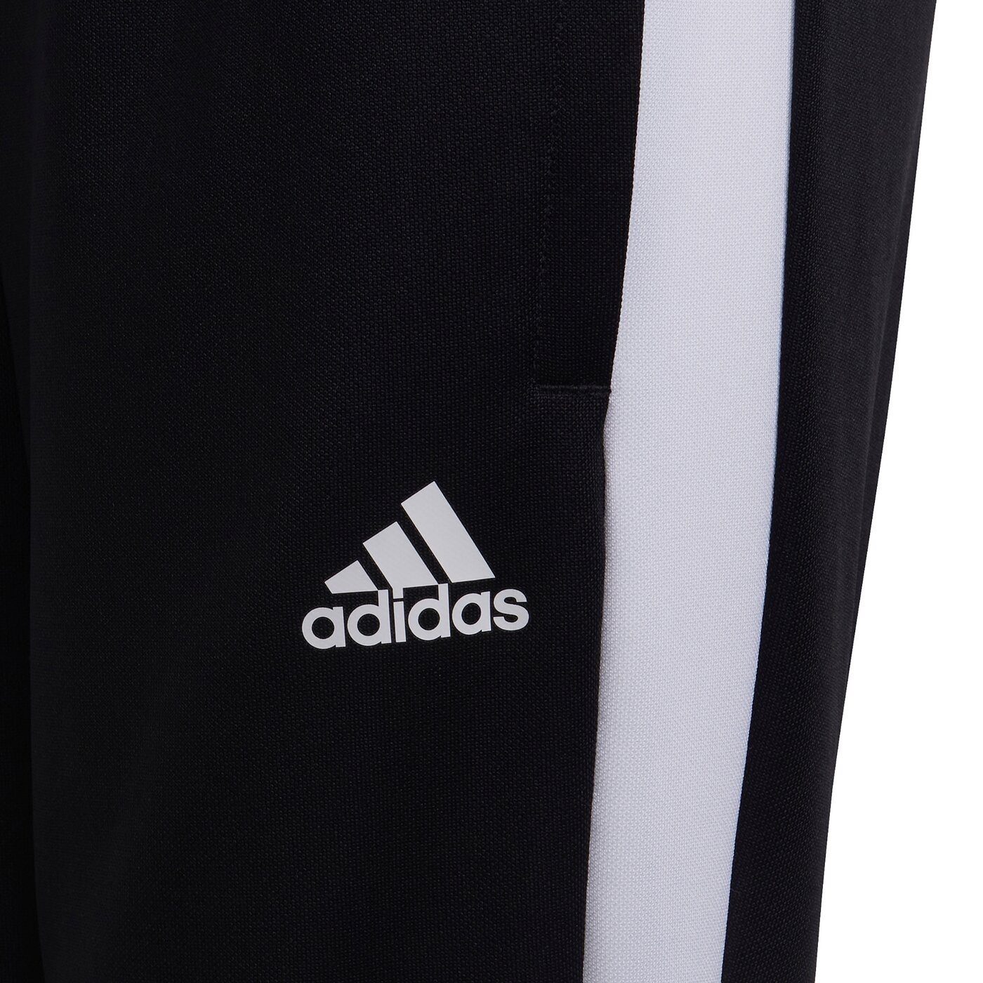 adidas Sportswear Sporthose TR PNT ESY BLACK TIRO