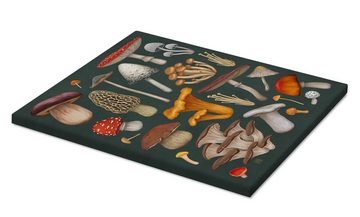 Posterlounge Leinwandbild Vasilisa Romanenko, Pilze, Wohnzimmer Natürlichkeit Illustration