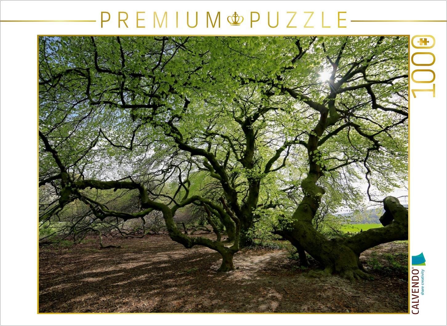 Puzzle CALVENDO Puzzle Erstes Grün im April 1000 Teile Lege-Größe 64 x 48 cm Foto-Puzzle Bild von Bernhard Loewa