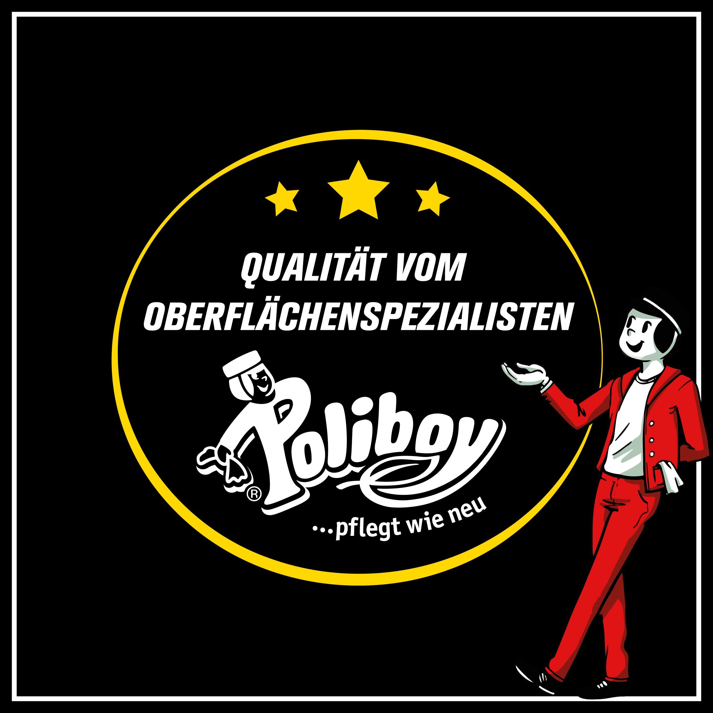 poliboy Klinke Regenstreifen Reiniger - in Germany) Made Pflegemittel 500 (beseitigt Auto-Reinigungsmittel Wohnmobil ml - Verschmutzungen- hartnäckige