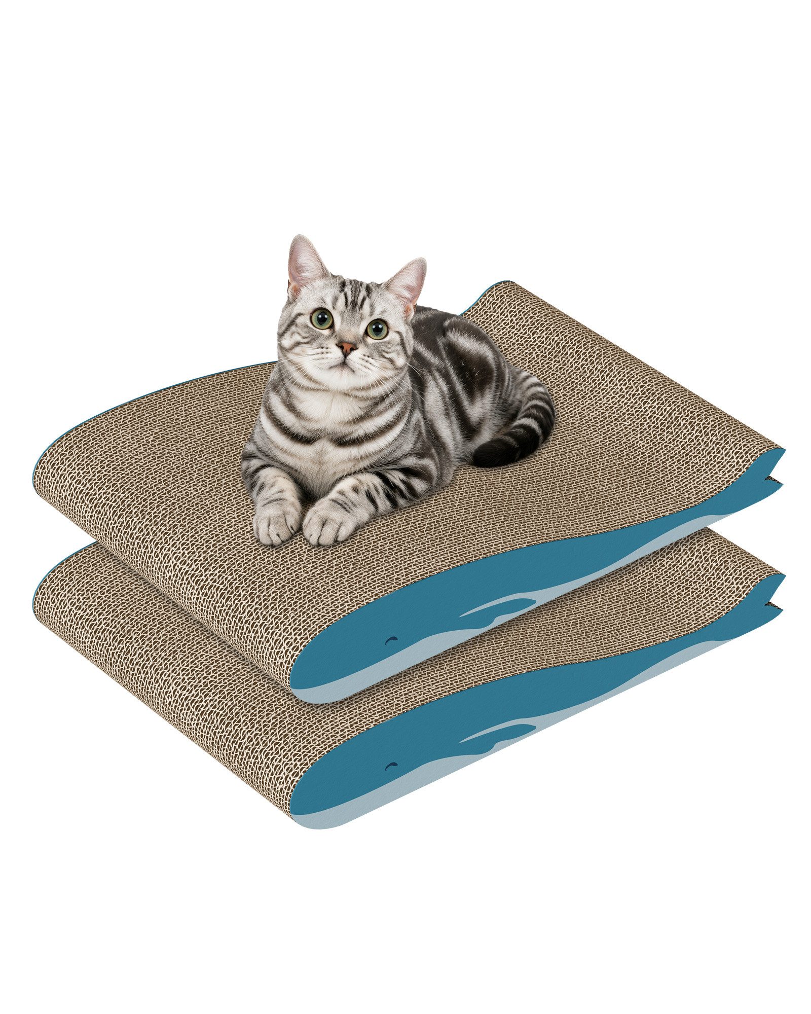 Dogat Kratzbrett groß Kratzbrett extra breit gebogen doppelseitig Design, L×B×H: 42×30×6,5 cm, 2-teiliges Kratzbrett-Set Möbel schutz