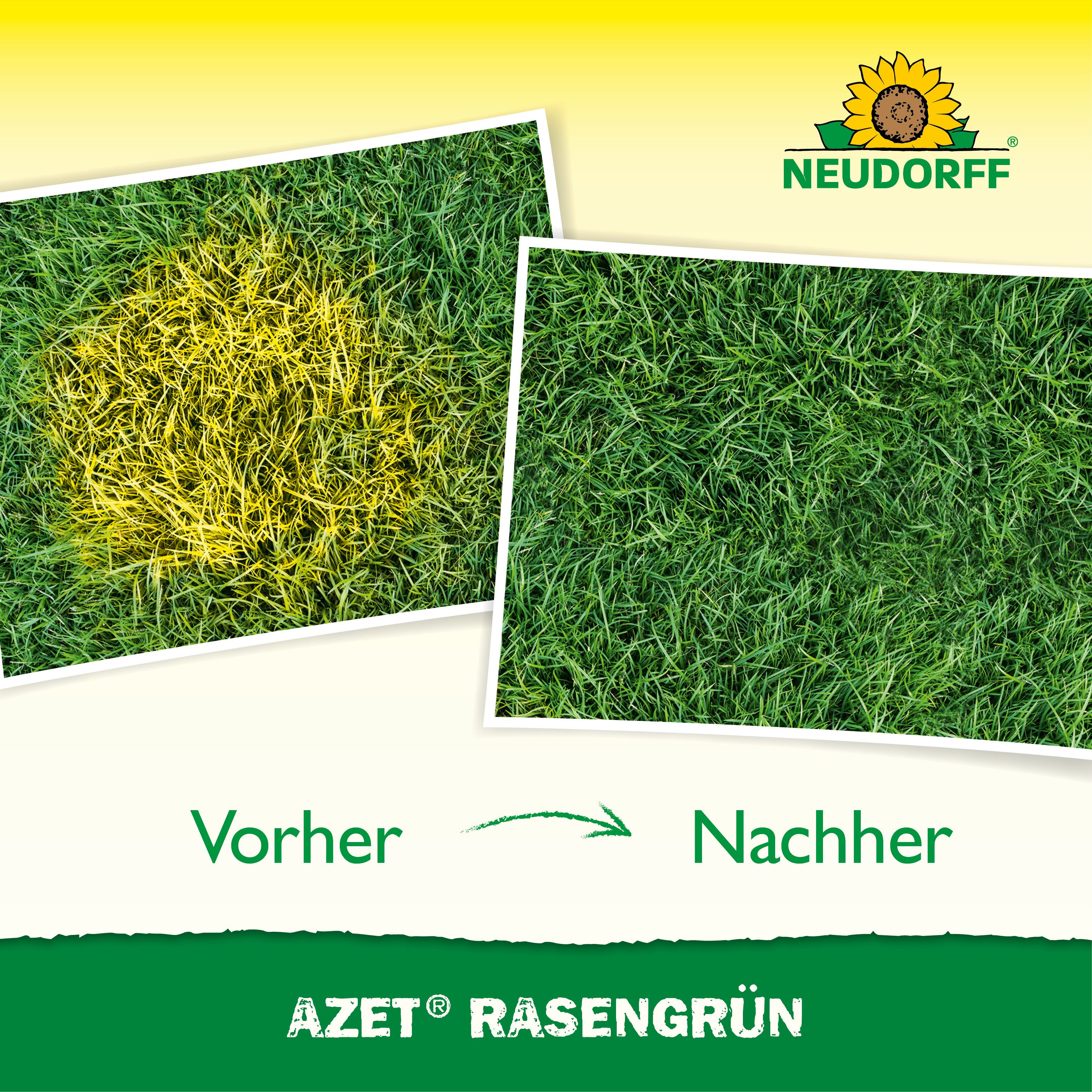Neudorff Rasendünger Azet Rasengrün 250 ml, Gezielte Gießanwendung bei gelben Rasenstellen, Mit 6 % Stickstoff & 3 % Eisen für eine schnelle Grünfärbung, Sofort – Bild 5 von 5