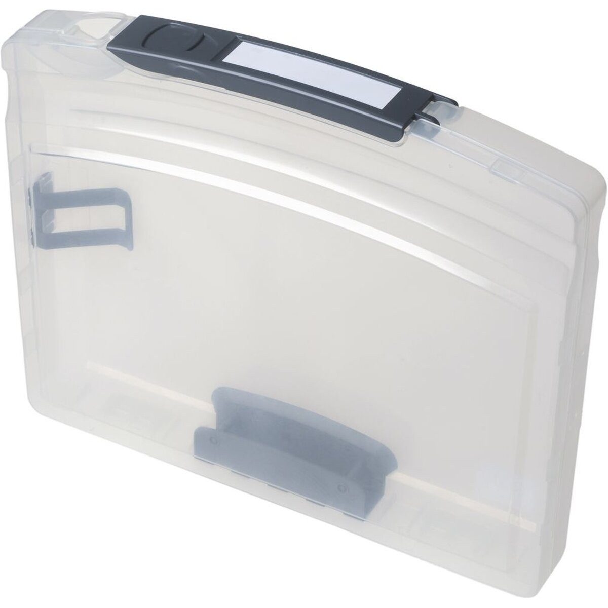 FOLDERSYS Fächermappe Dokumentenbox 'go-case' A4 mit steckbarer Mechanik/Niederhalter farblo
