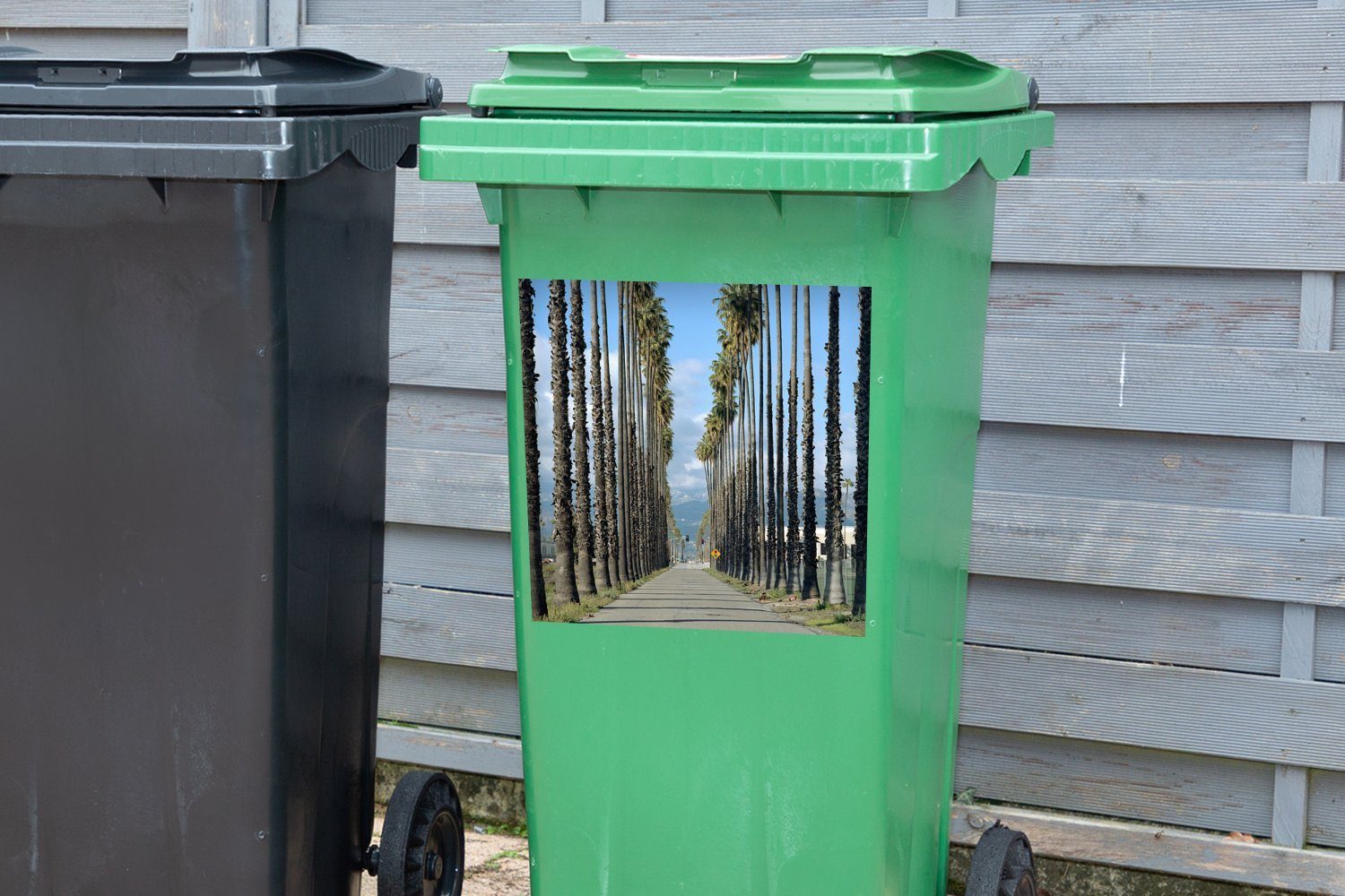 Abfalbehälter Mülltonne, Bergen Sticker, Die Container, mit und MuchoWow St), Straße im Mülleimer-aufkleber, (1 Hintergrund Palmenreihen Wandsticker