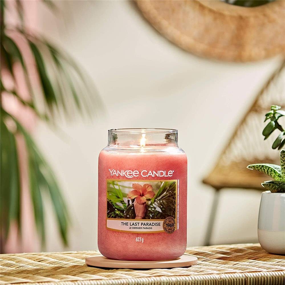 Yankee Candle Duftkerze The Last Paradise, im Glas, 623 g, Noten von Früchten und Pflanzen des Regenwaldes