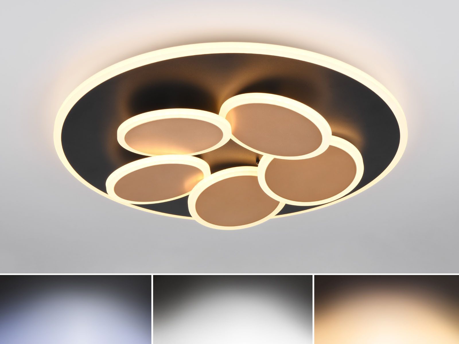 TRIO Leuchten LED Deckenleuchte mit Fernbedienung & Tageslicht Ø 49cm, Dimmfunktion Nachtlichtfunktion, LED fest integriert, Tageslichtweiß, Neutralweiß, Warmweiß, ausgefallene Tageslichtlampe flach, alternativ dimmbar über Schalter