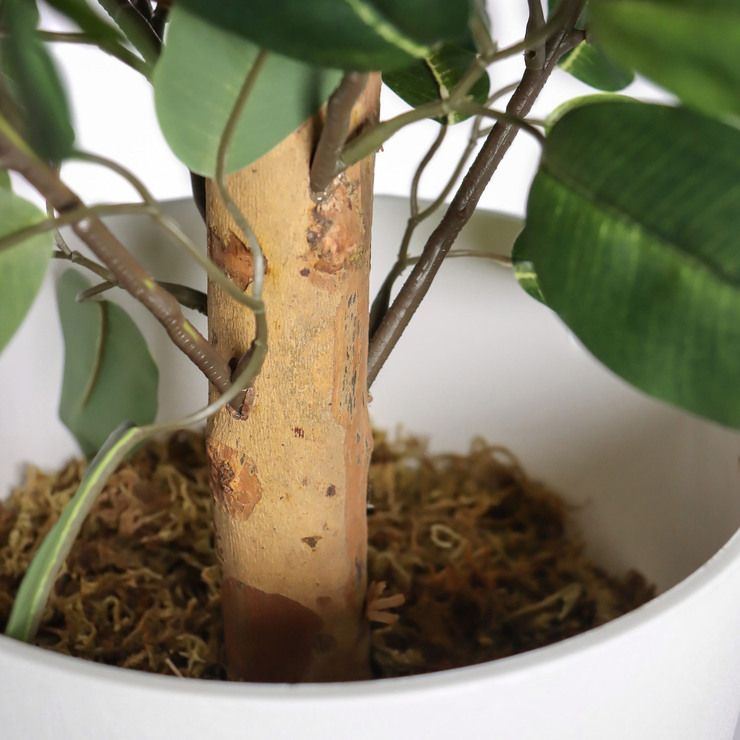 Kunstpflanze Kunstpflanze FICUS II Kunststoff Birke, hjh OFFICE, Höhe 65.0 cm, Künstliche Pflanze Zimmerpflanze im Topf, Benjamini