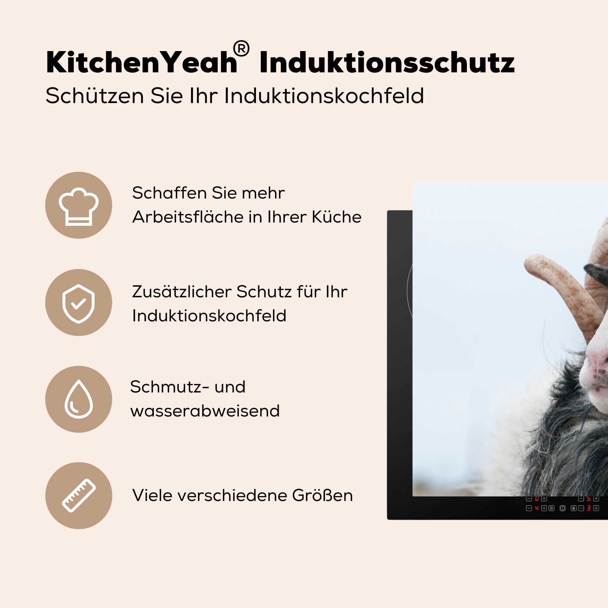 Schutz tlg), Schafe Ceranfeldabdeckung die Horn MuchoWow Vinyl, küche, cm, - Induktionskochfeld Herdblende-/Abdeckplatte (1 - 81x52 für Tiere,